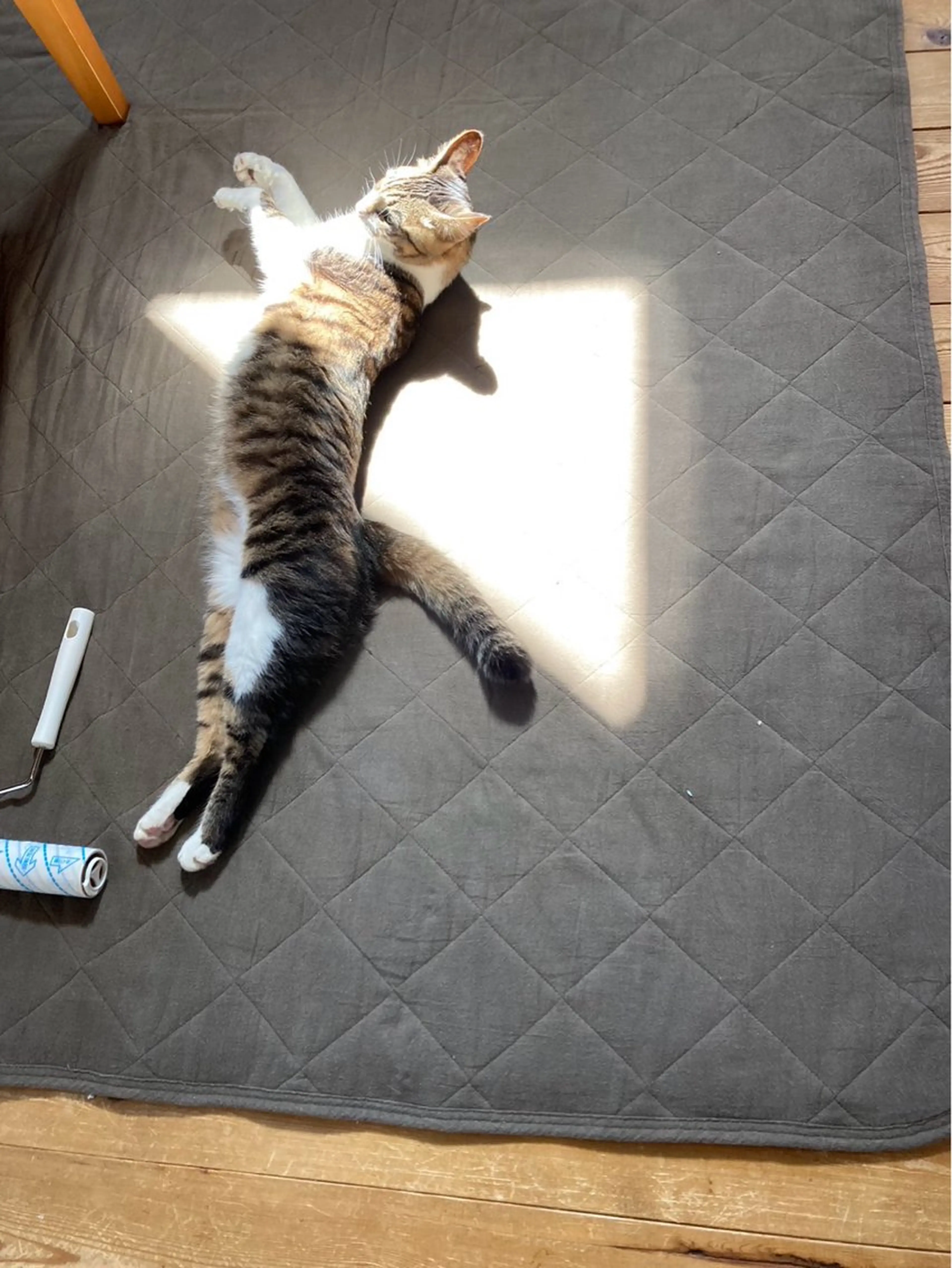 Spiky とうげ ふうかのネイルデザイン