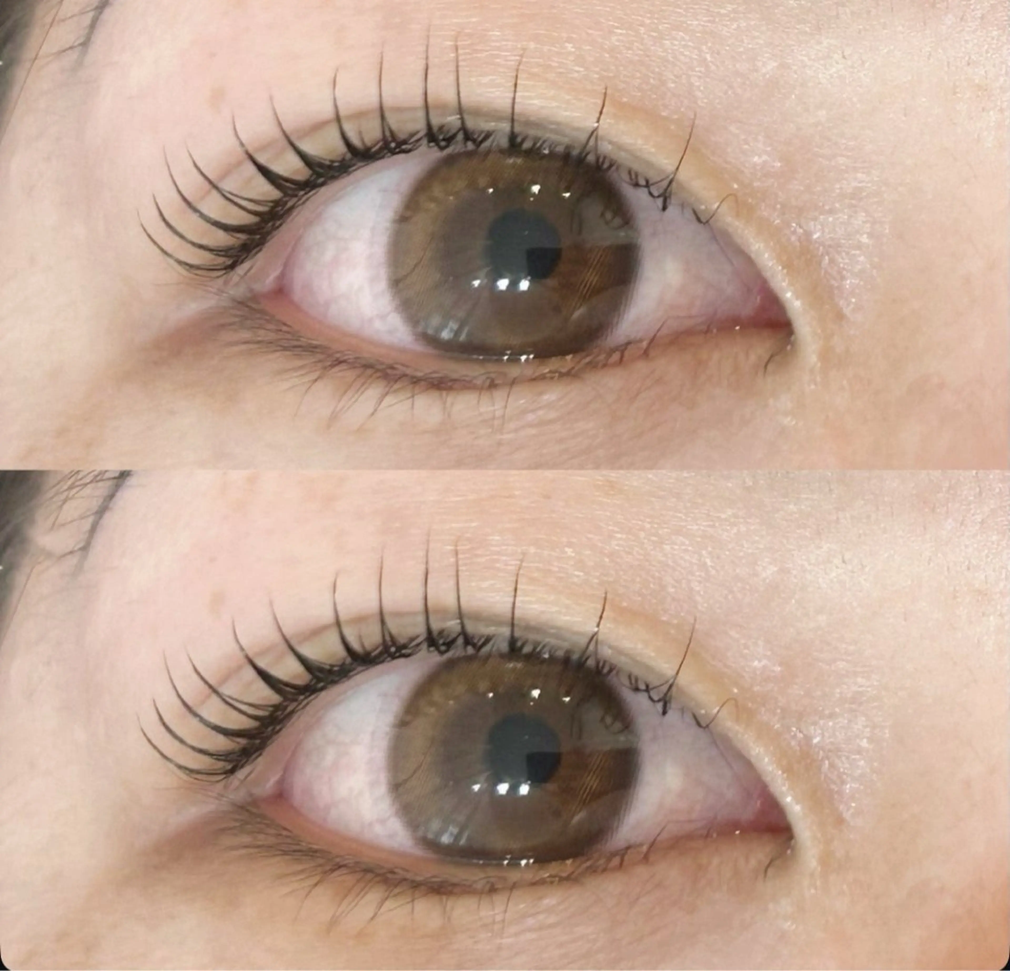 ブラックマスカラパーマ⸜❤︎⸝‍コーティング仕上げ付*.+ﾟの写真