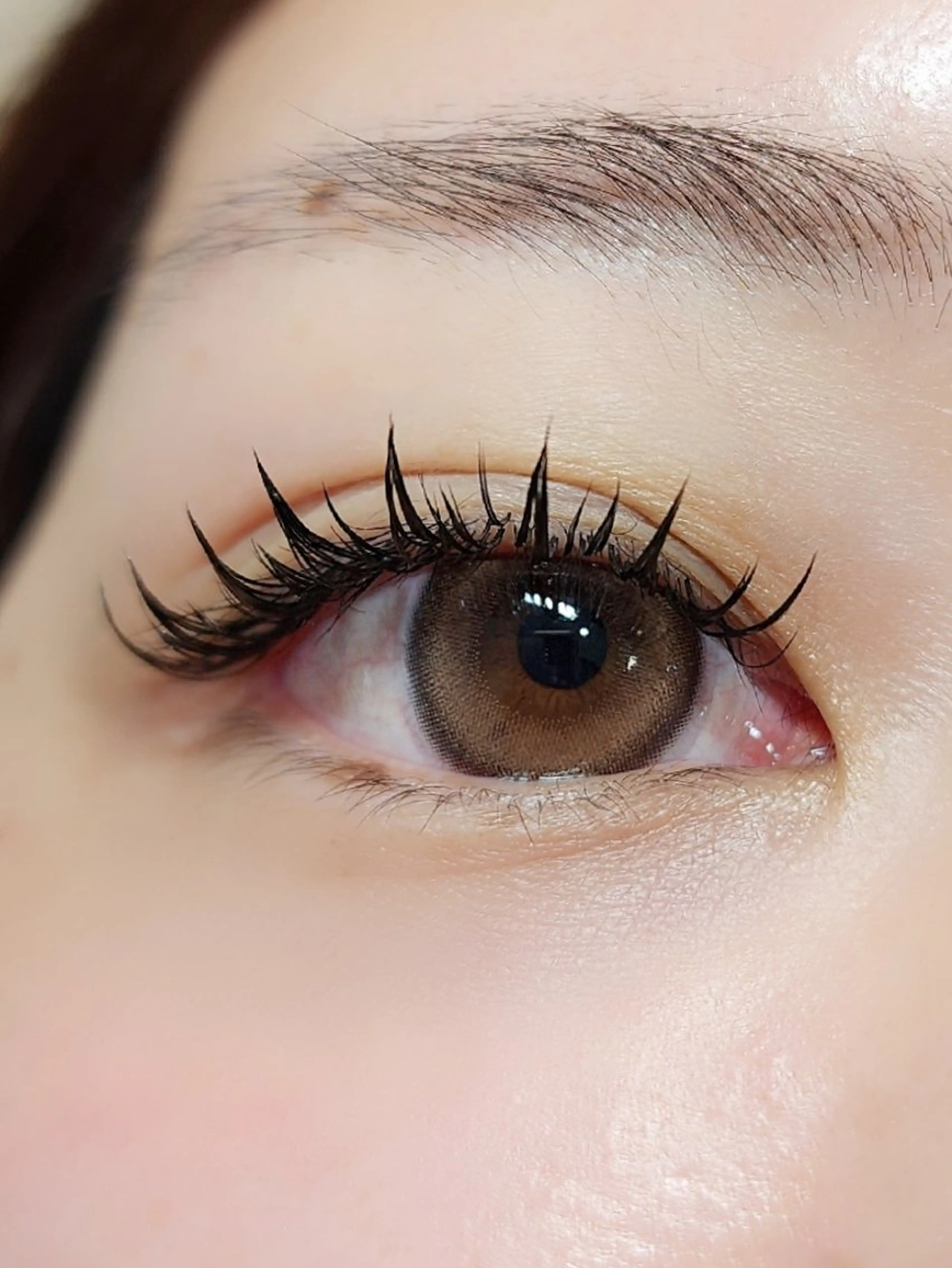 マツエク・マツパ 付け放題 バインドロック 束感まつ毛 カラーマツエク フラットラッシュ Ｍ salon アイラッシュのマツエク・マツパデザイン