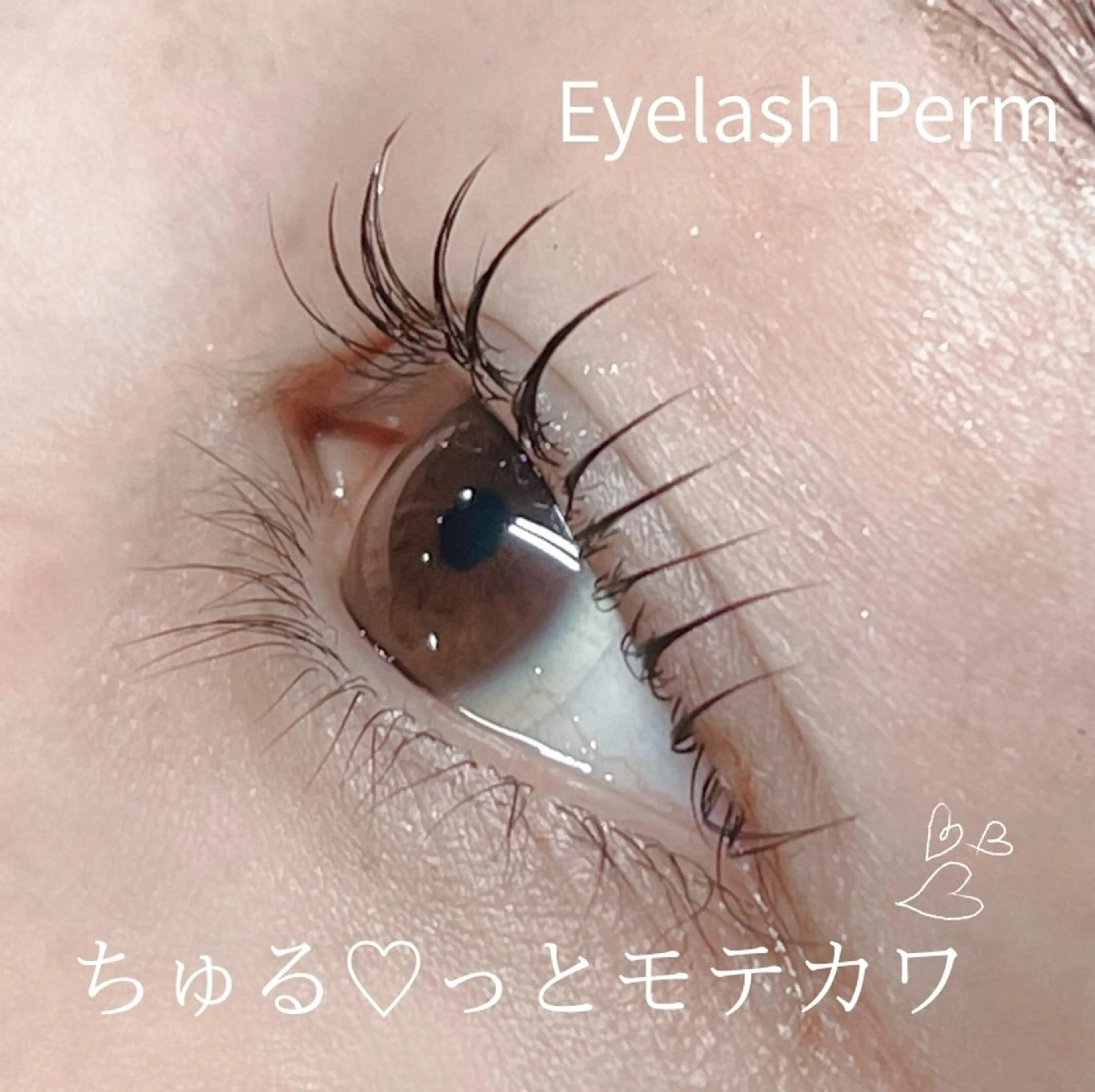 マツエク・マツパ まつげパーマ 一重×まつ毛パーマ 成増北口PRADE saiのマツエク・マツパデザイン