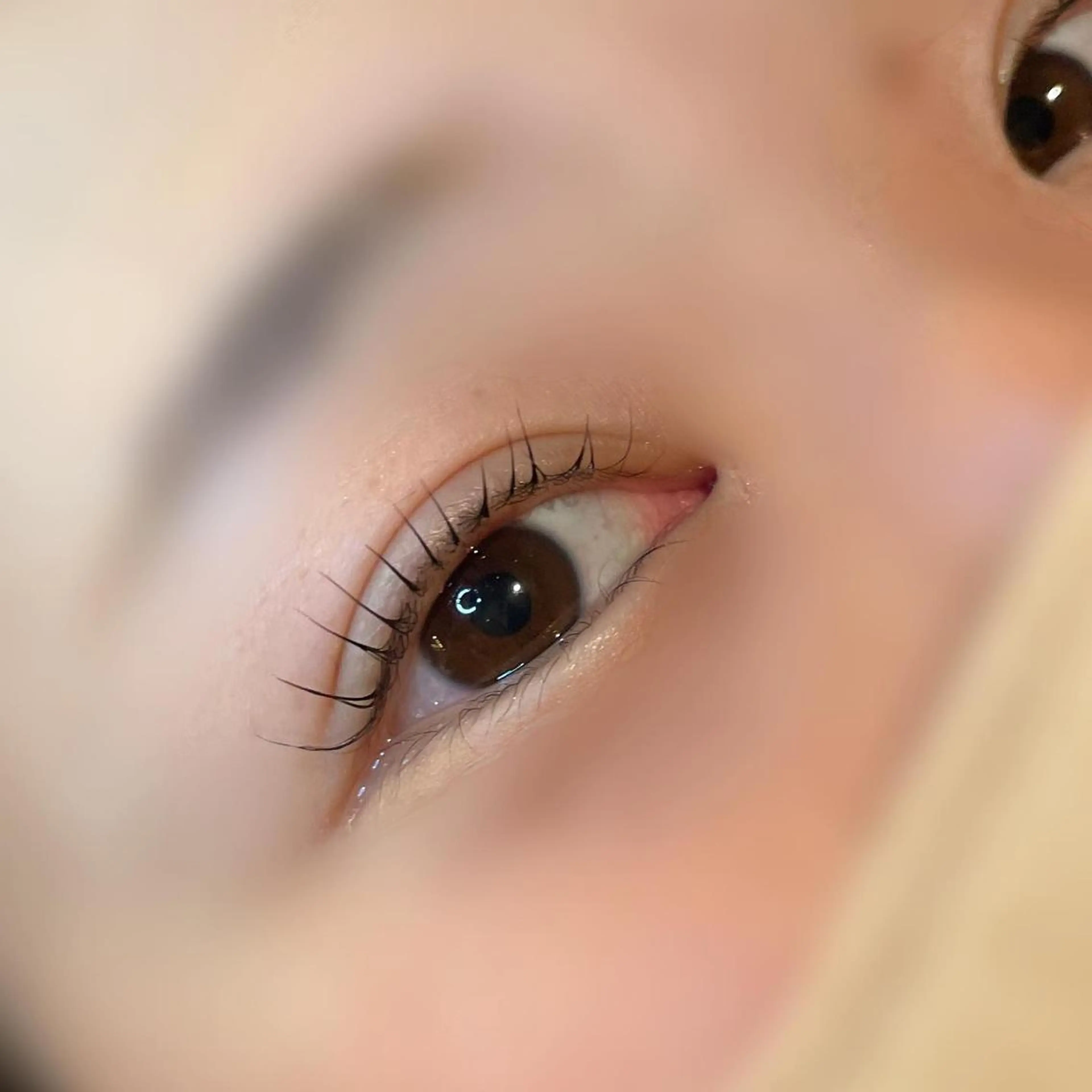 セミロング カラー ヘアアレンジ マツエク・マツパ セミロングパーマ 韓国風マツエク パリジェンヌラッシュリフト 一重×まつ毛パーマ 韓国風ヘア ブレス　セルバテラス泉店所属・🍓Rei naのマツエク・マツパデザイン