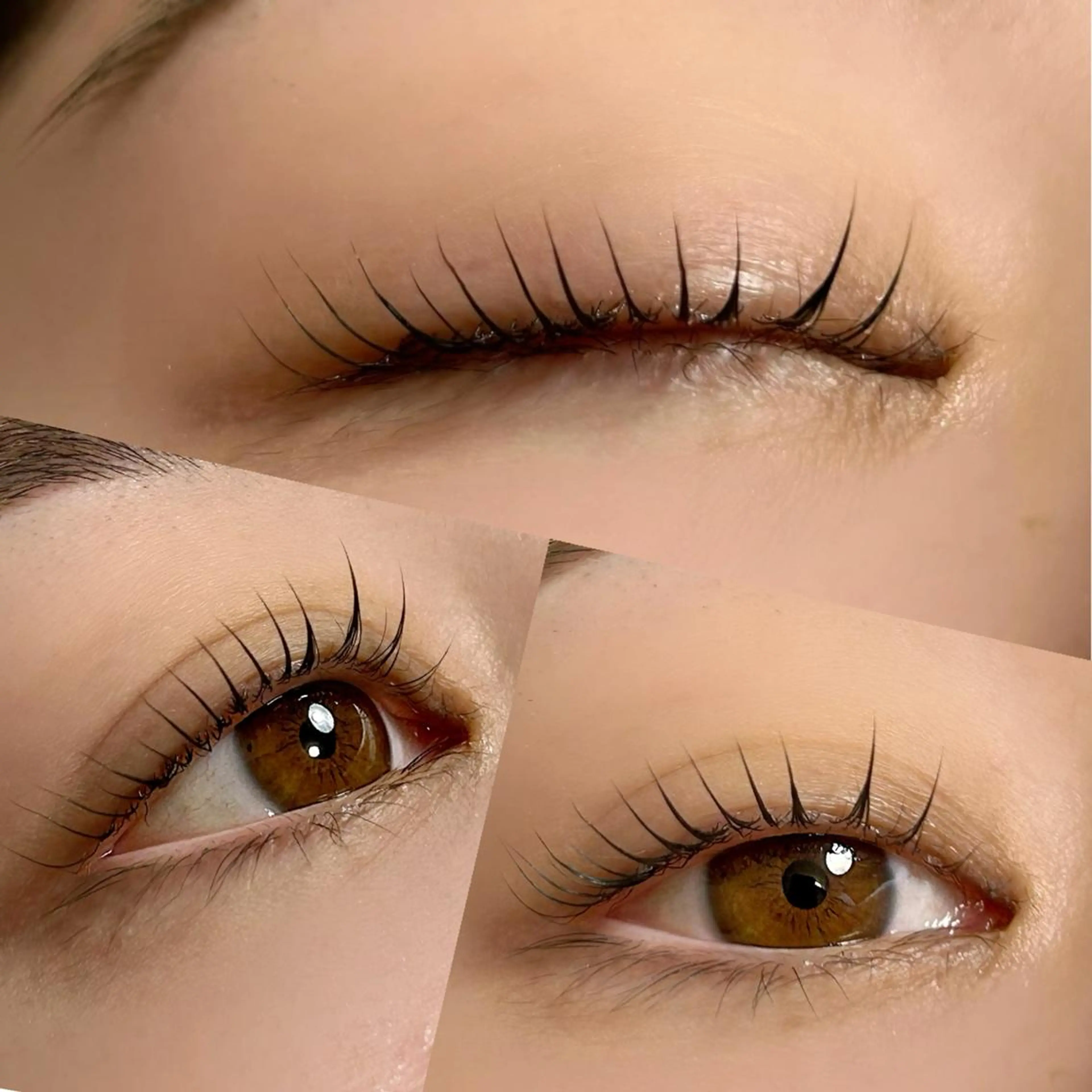 マツエク・マツパ マツパ lieu pré eyelashの眉毛・アイブロウイメージ