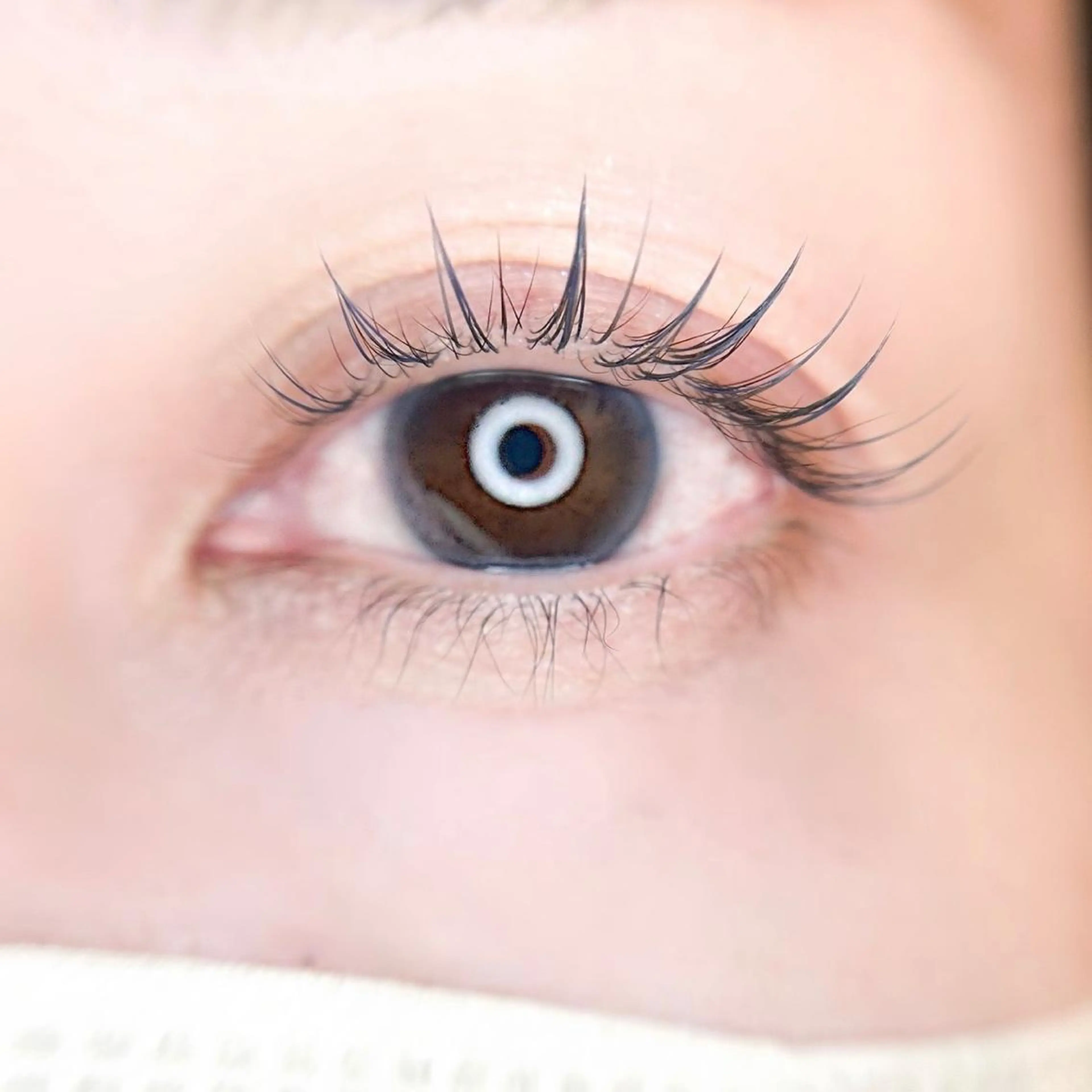 マツエク・マツパ Lignal.所属・Lignal. miyuの眉毛・アイブロウイメージ