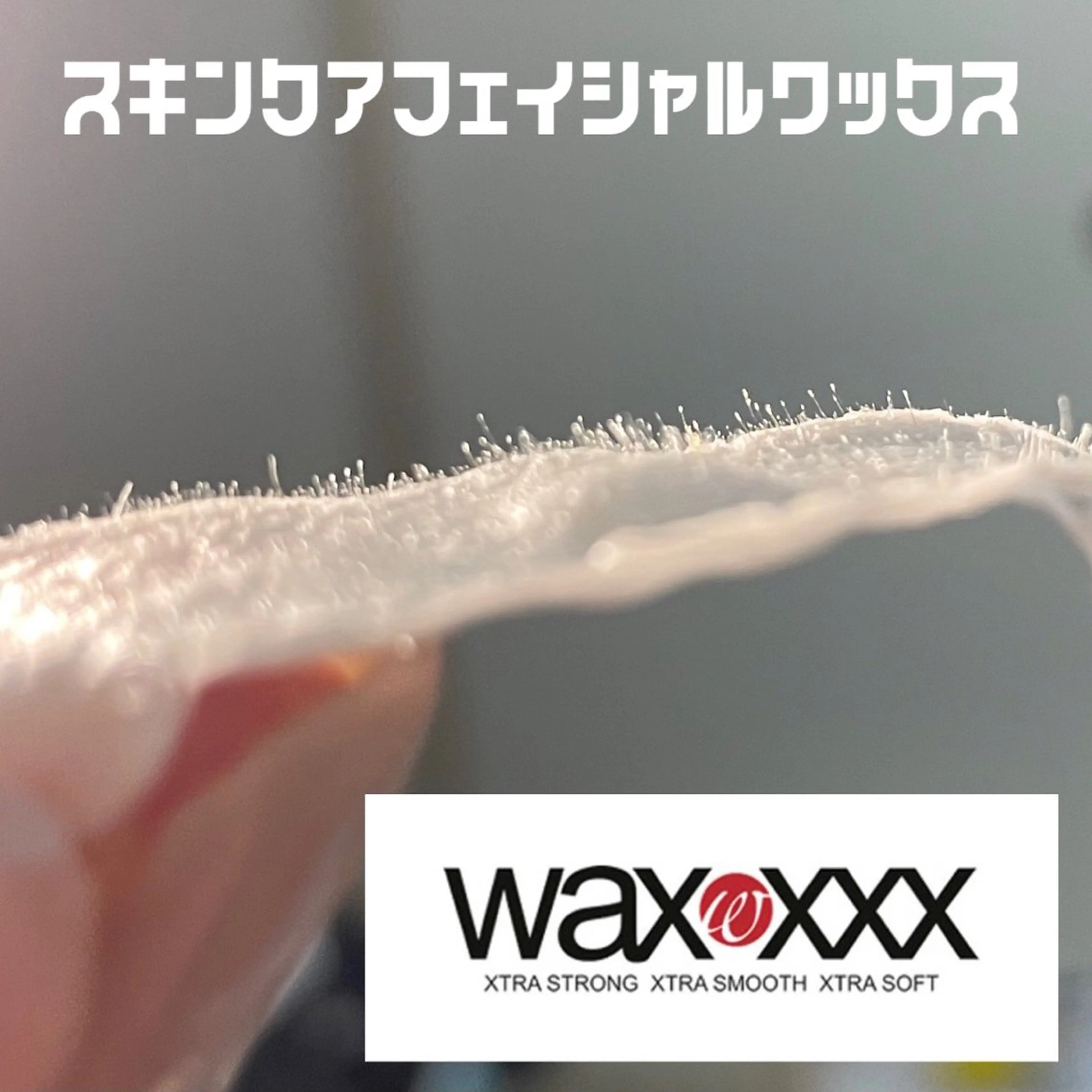 New所属・New __のその他イメージ