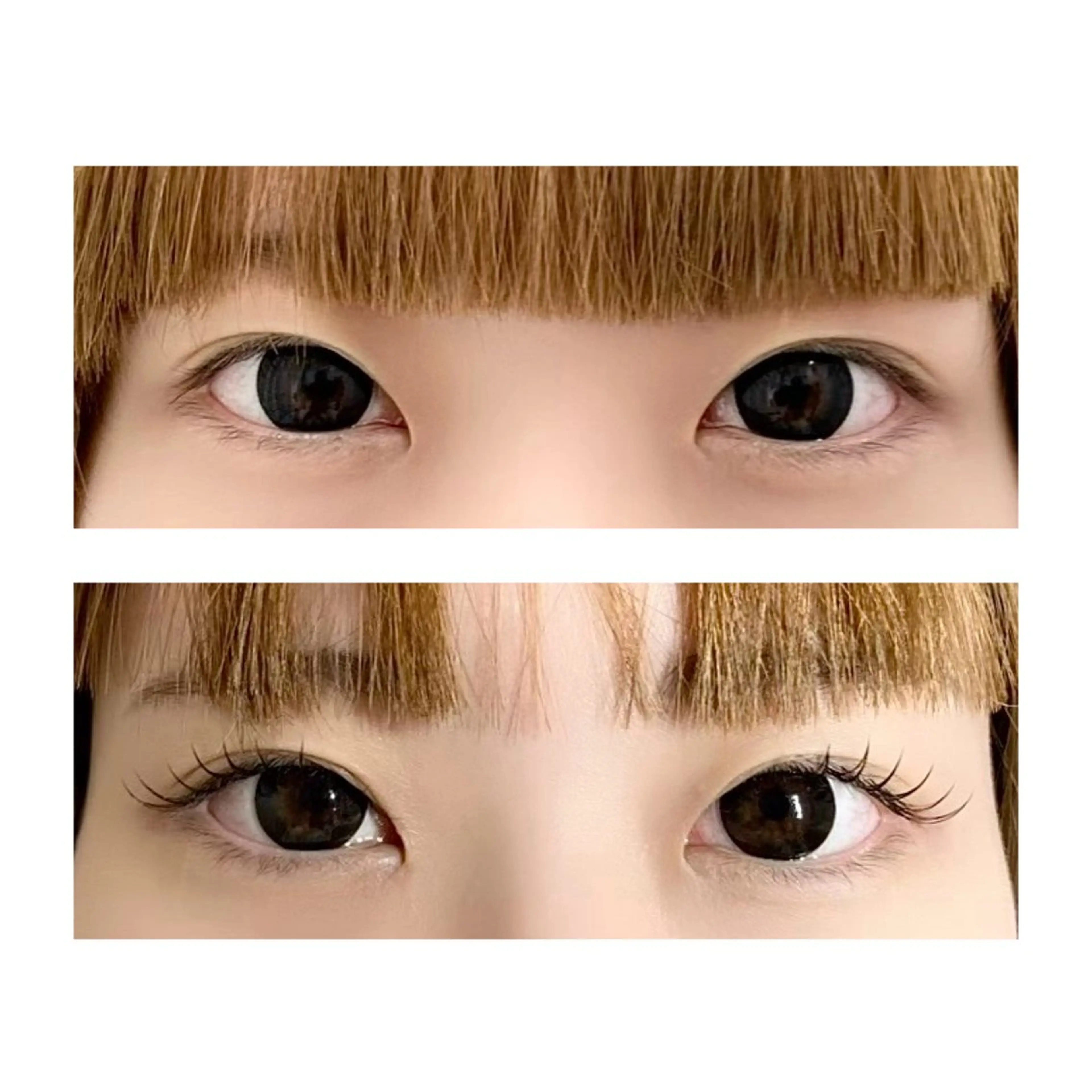 マツエク・マツパ 束感まつ毛 フラットラッシュ Secret Belle　熊本下通り店所属・Secret Belle　福川の眉毛・アイブロウイメージ