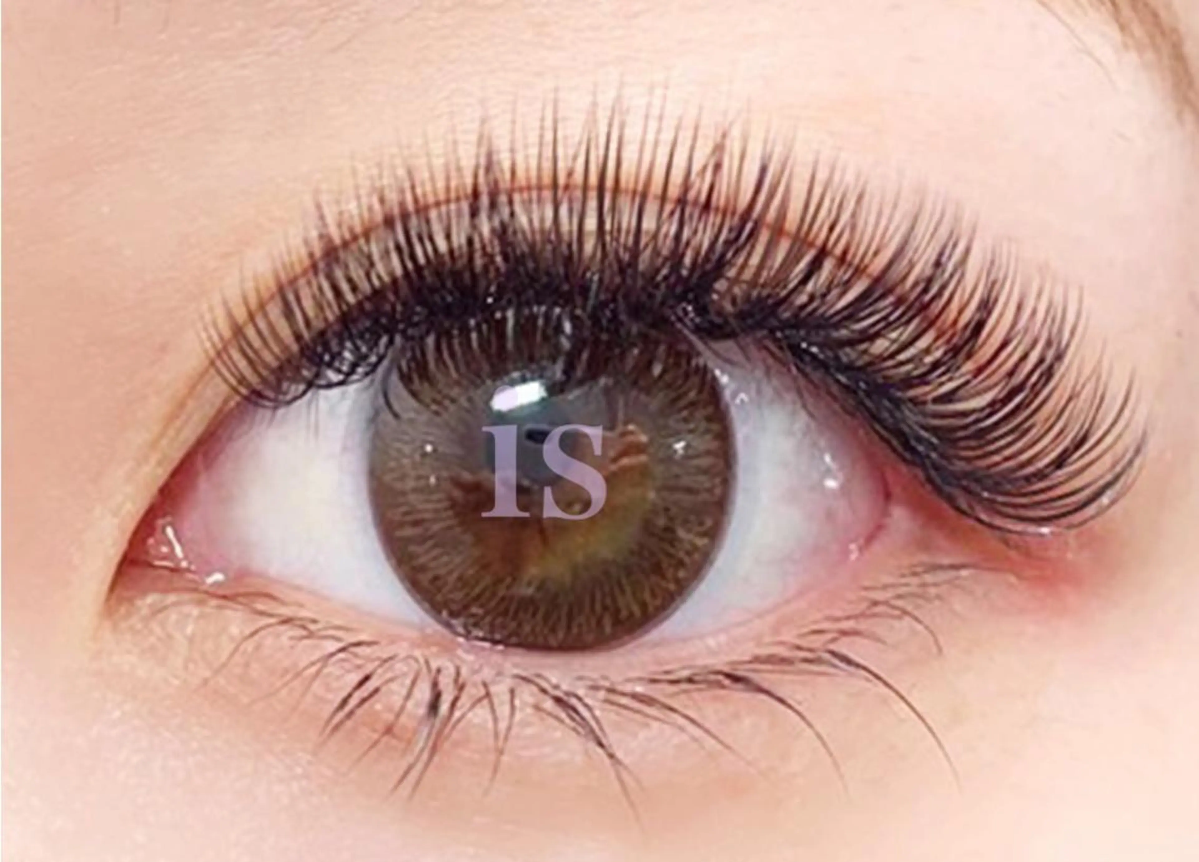 ❤フラットラッシュ120本オフ込❤負担最小限＆最長2ヶ月長持ち/コーティング剤＋美容液仕上げ✨¥6660の写真