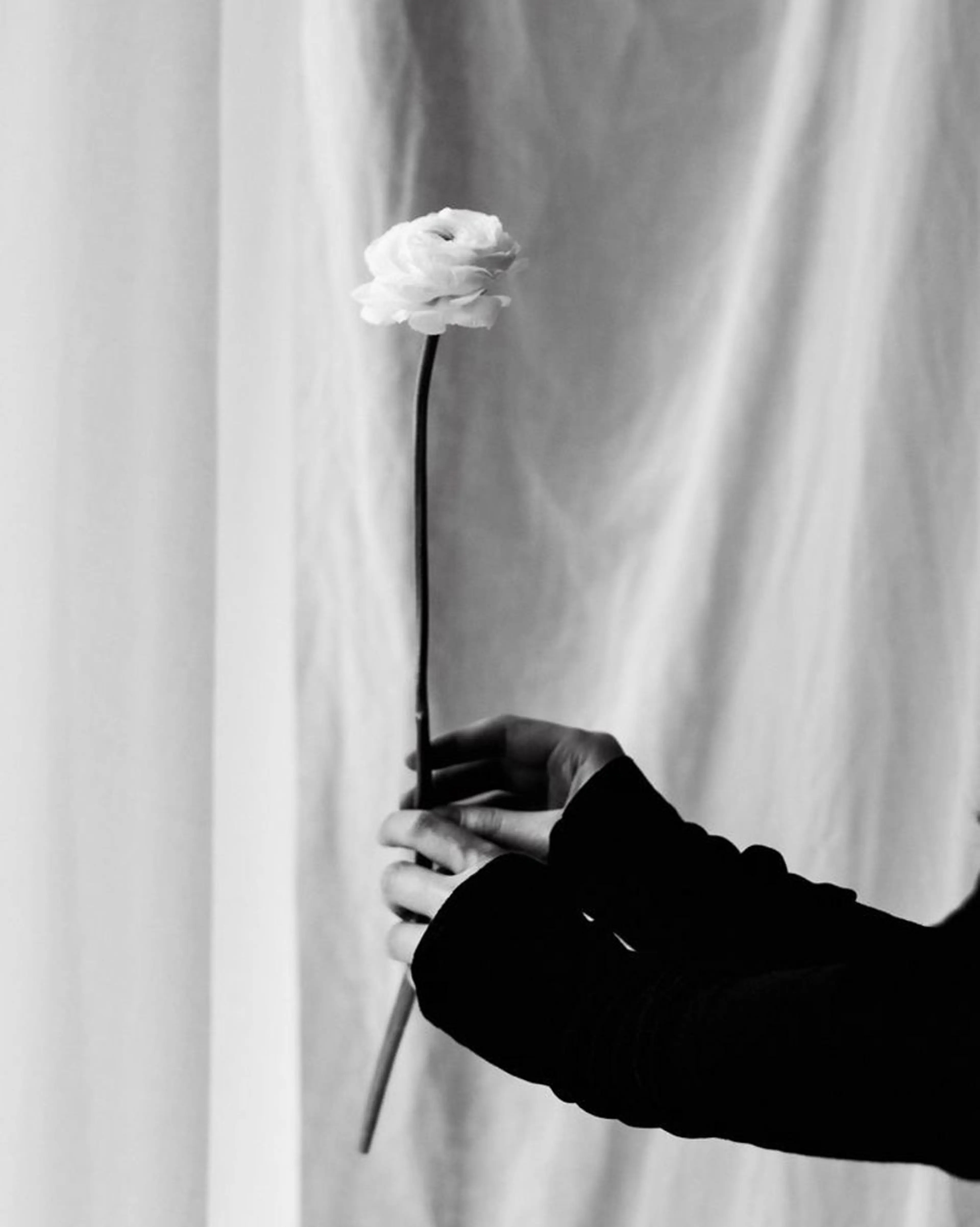 マツエク・マツパ eyelash✨🫧 Saki🌙.*･ﾟのマツエク・マツパデザイン