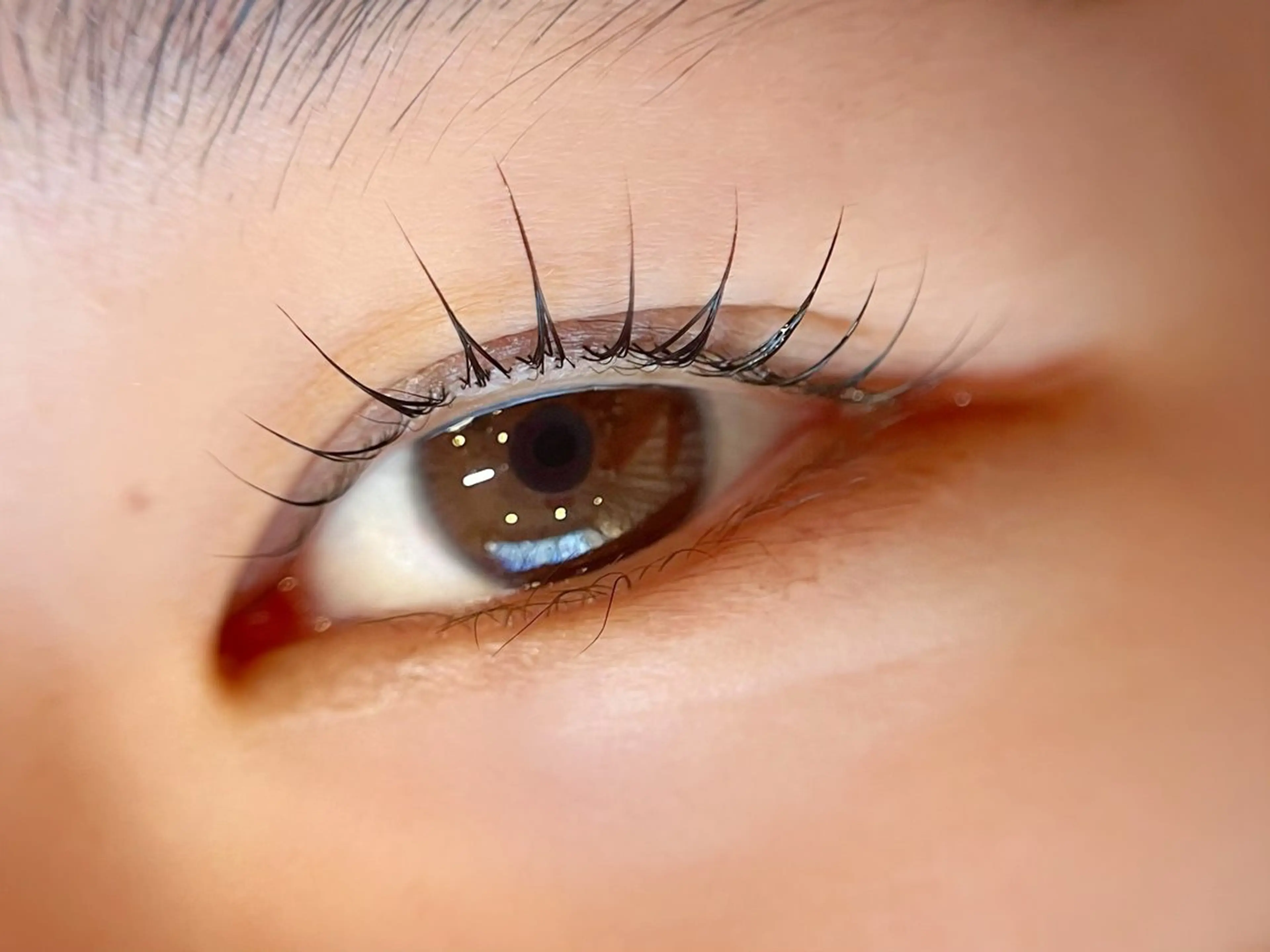 マツエク・マツパ sofa 🛋⸝⸝ urushibaraのマツエク・マツパデザイン