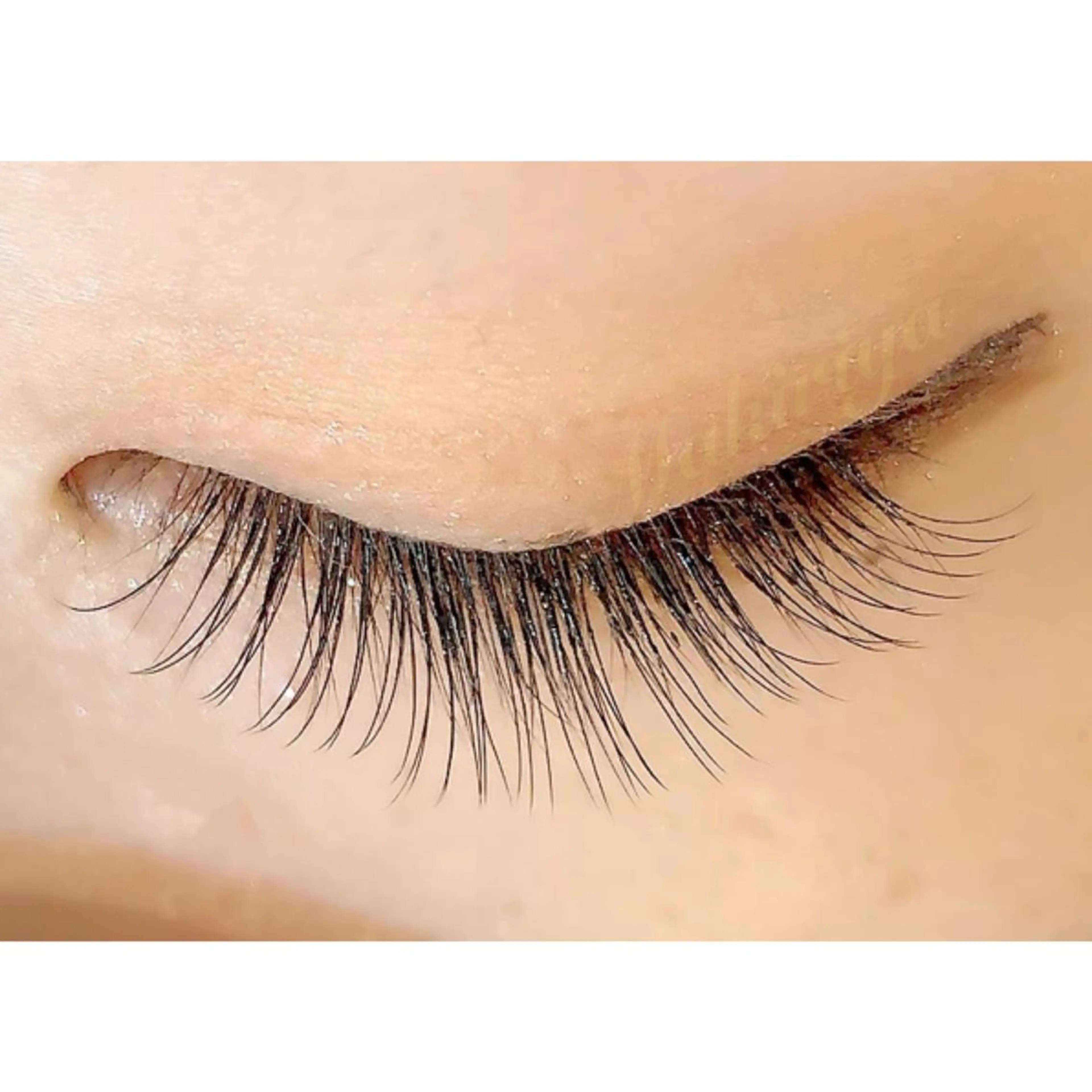 マツエク・マツパ セーブル 💜megu 💅✨のマツエク・マツパデザイン