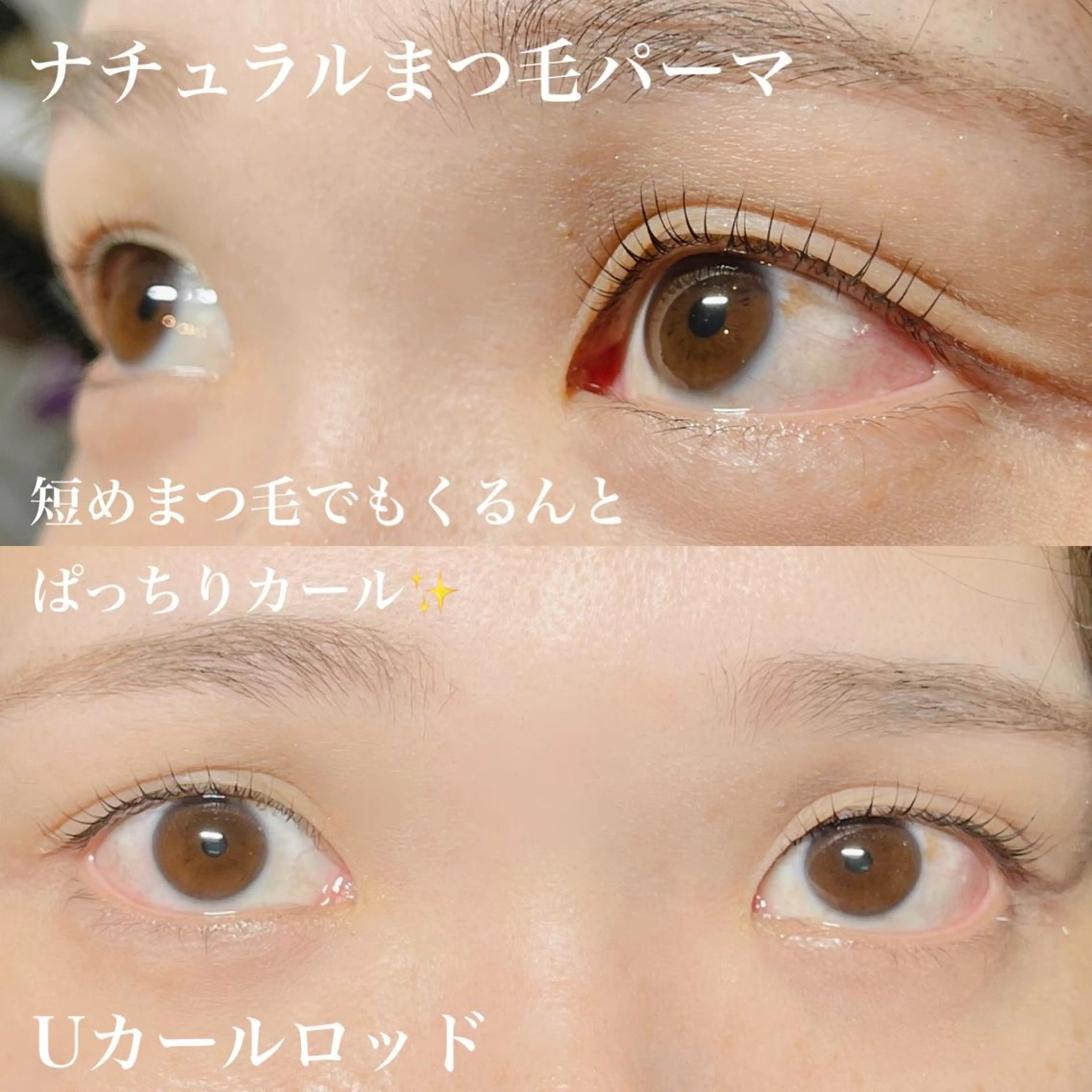 マツエク・マツパ ナチュラル 一重×まつ毛パーマ マツパ バスクアイラッシュ所属・BASQUE バスクアイラッシュのマツエク・マツパデザイン