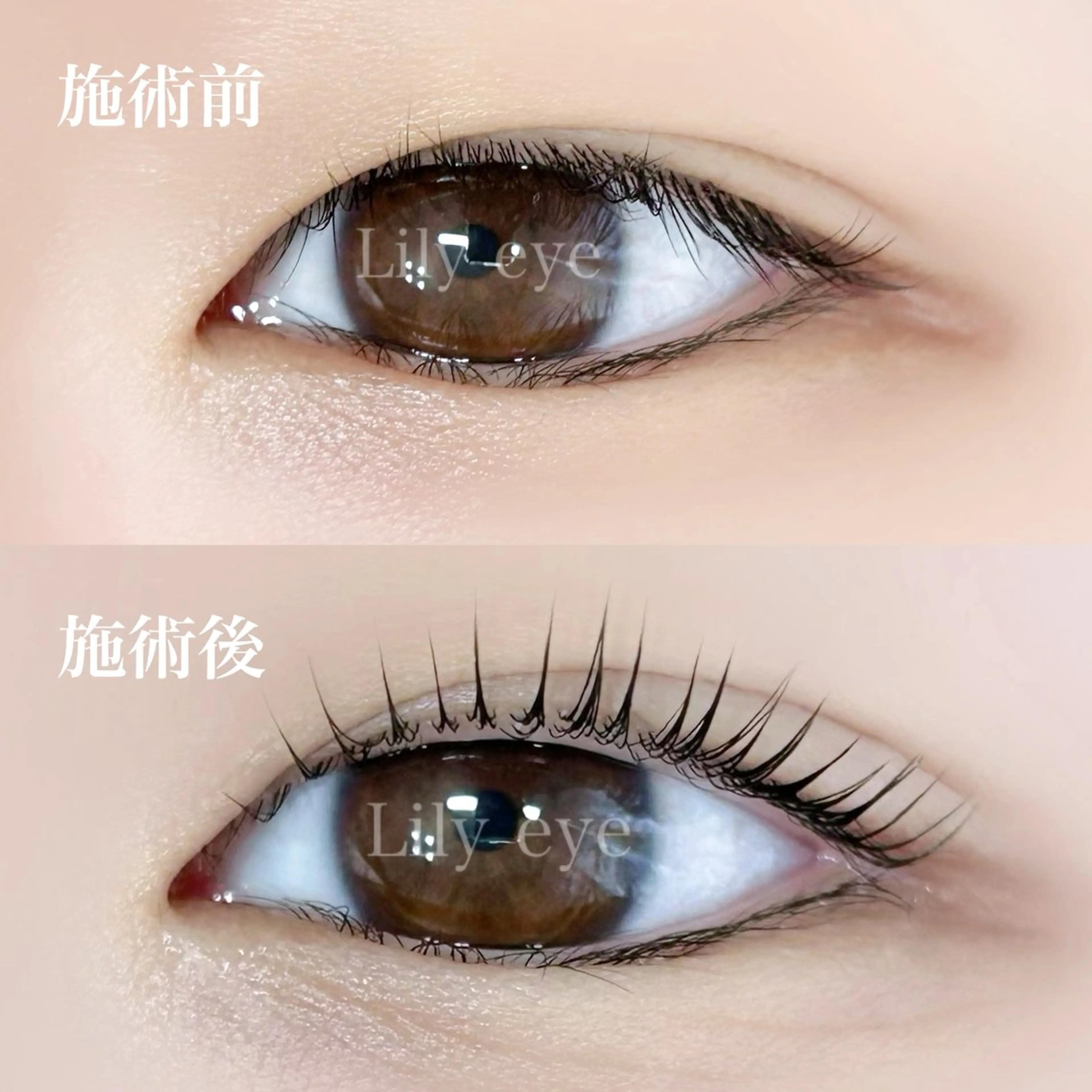 マツパ まつ毛専門店 Lily eyeのマツエク・マツパデザイン
