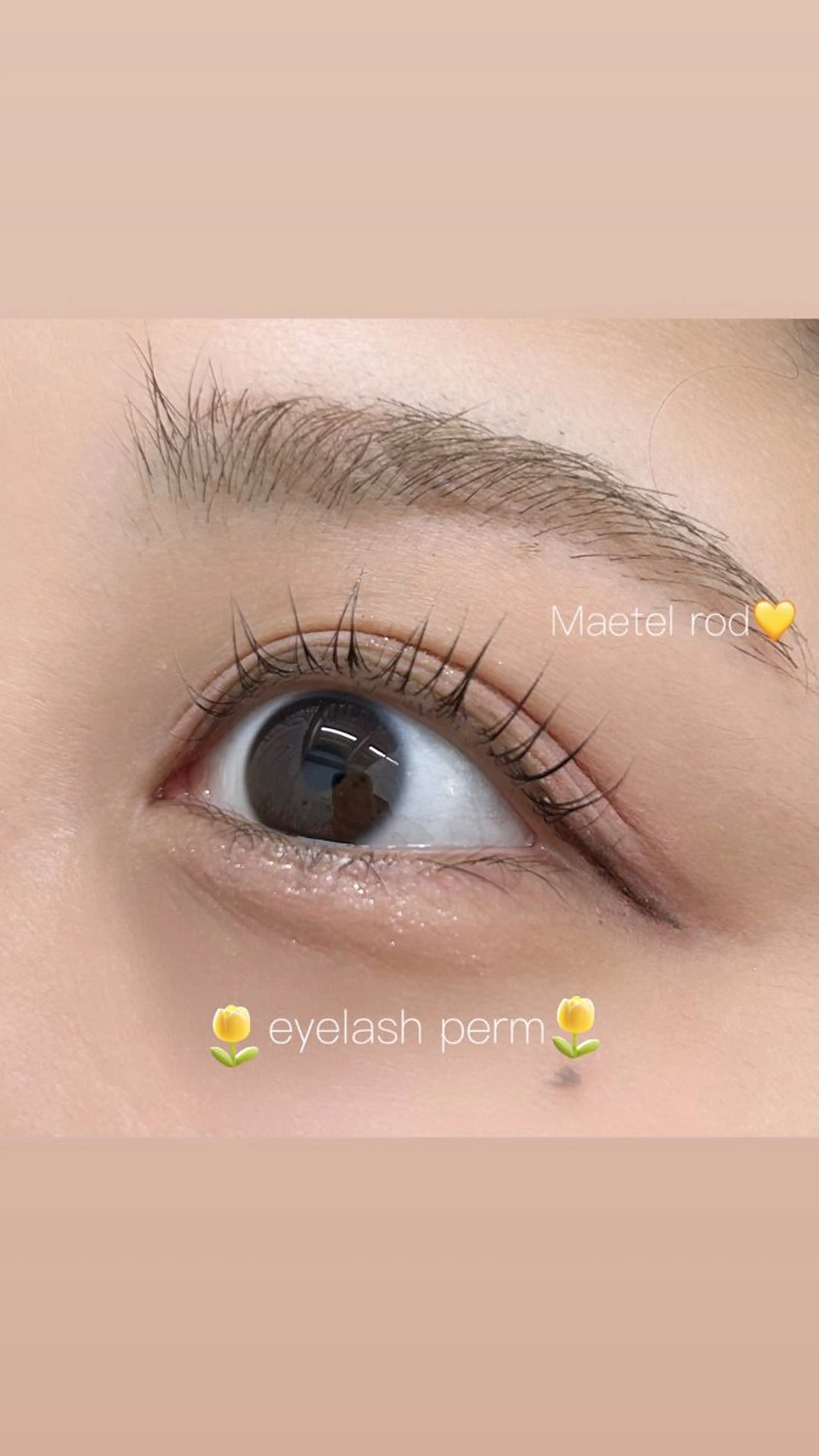 マツエク・マツパ alushe 平井店 みゆき🍒のマツエク・マツパデザイン