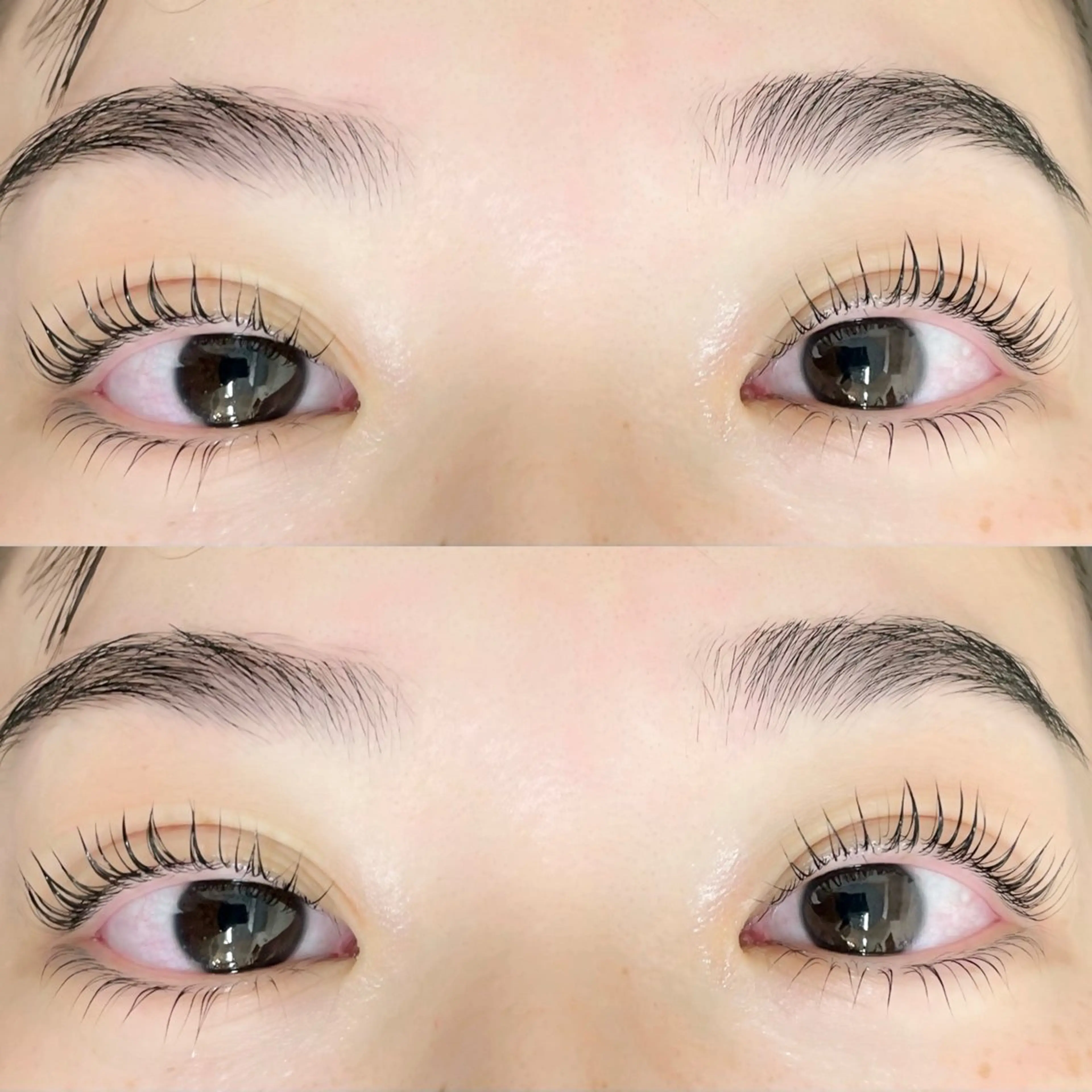 【12/27まで限定！】🌟大人気🌟🤎アイブロウ&まつ毛カール上🤍の写真