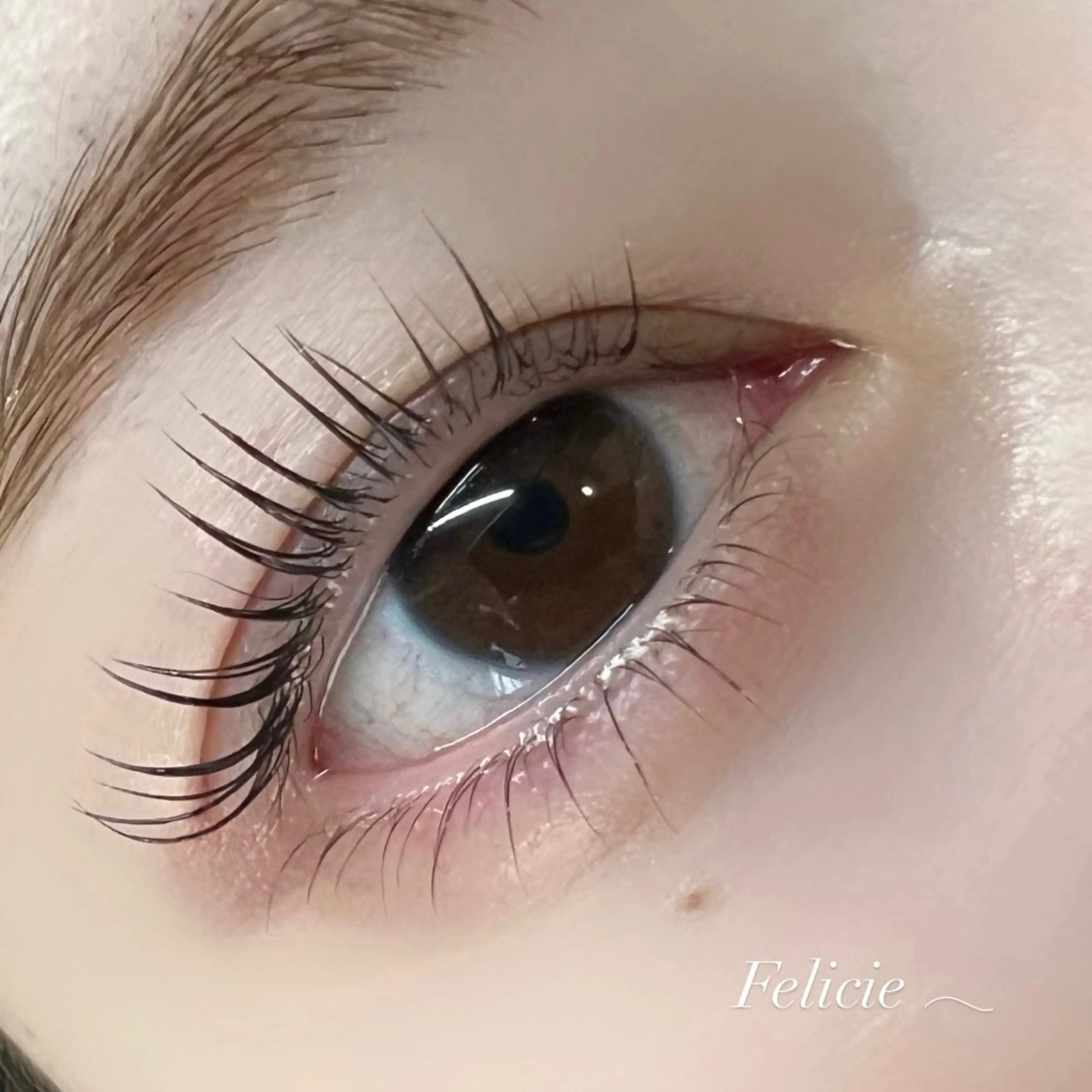 マツエク・マツパ マツパ Felicie＊ Sayakaのマツエク・マツパデザイン