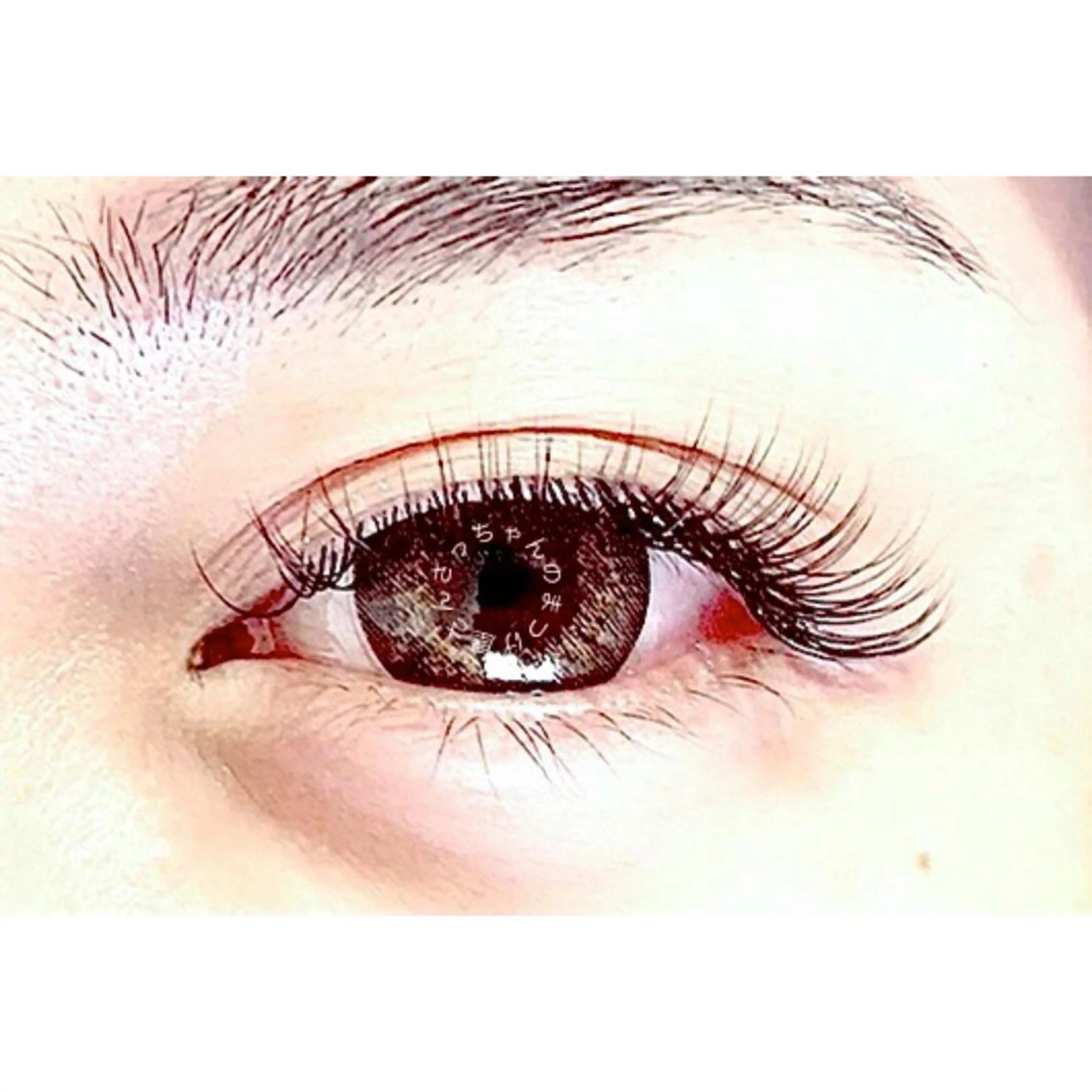 《高級セーブル》シングル200本までつけ放題・初回オフ無料の写真