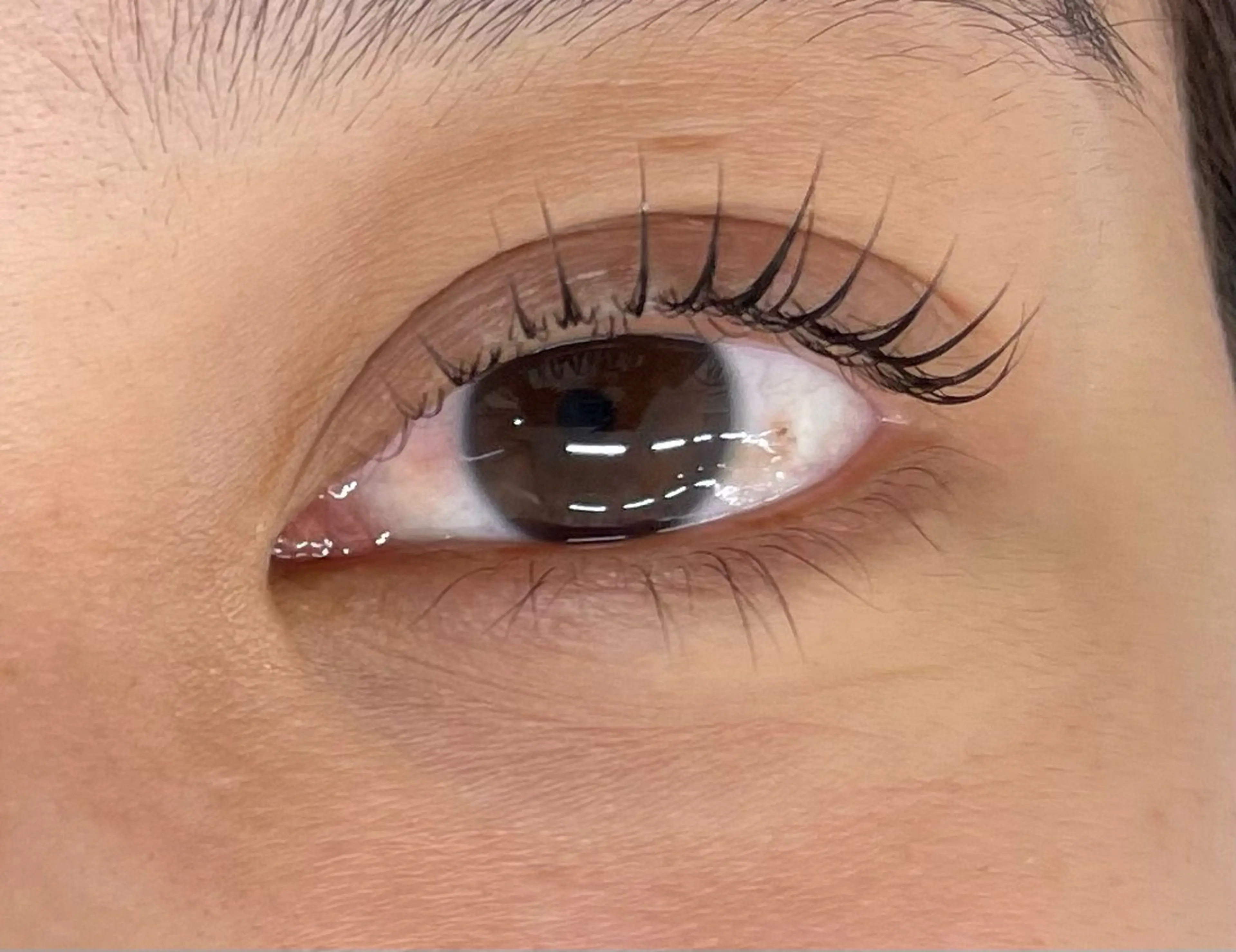 マツエク・マツパ マツパ マリーテレジア 🌻RUKAのマツエク・マツパデザイン