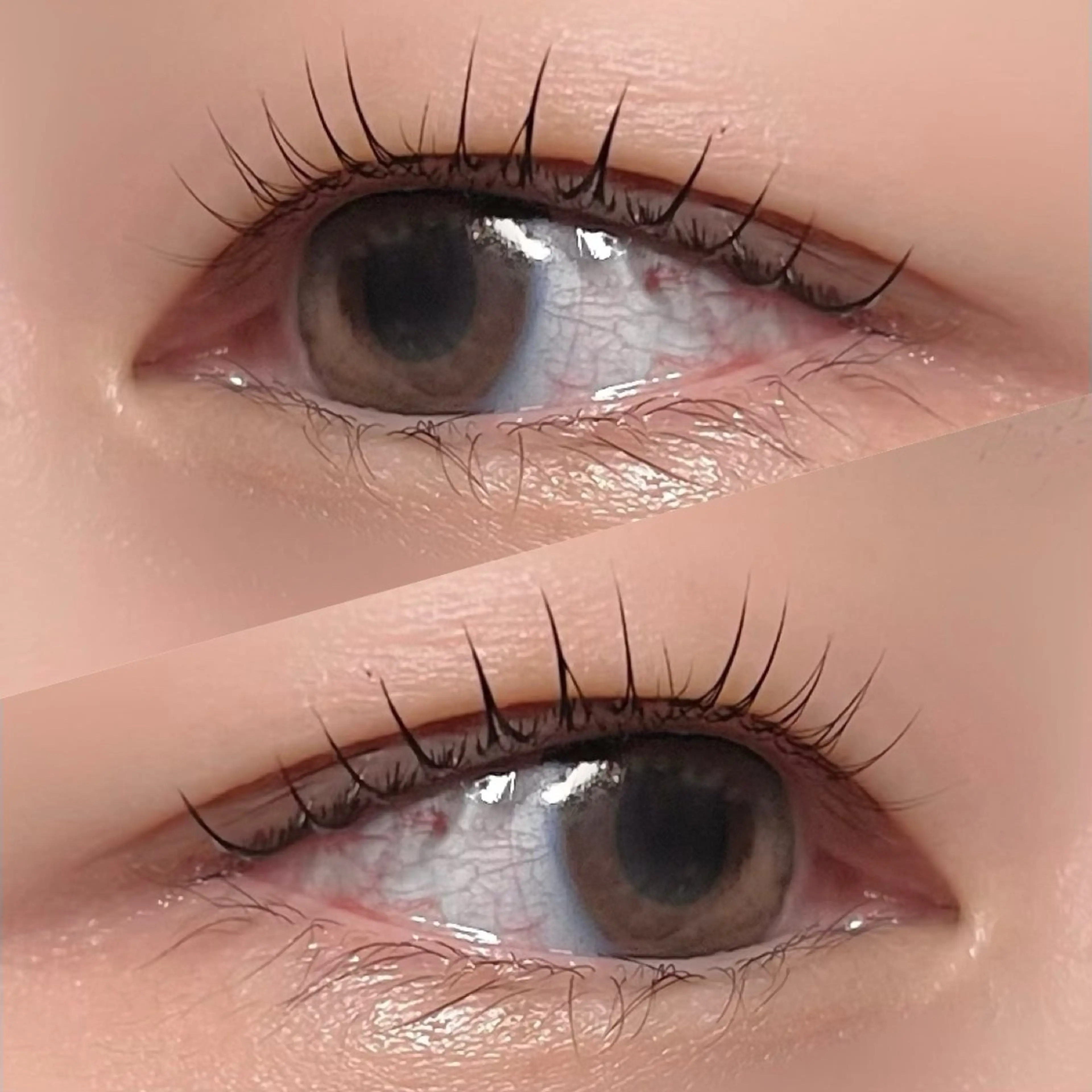 マツエク・マツパ 垢抜け眉WAX専門 ちゅるんまつげ|鎌倉の眉毛・アイブロウイメージ