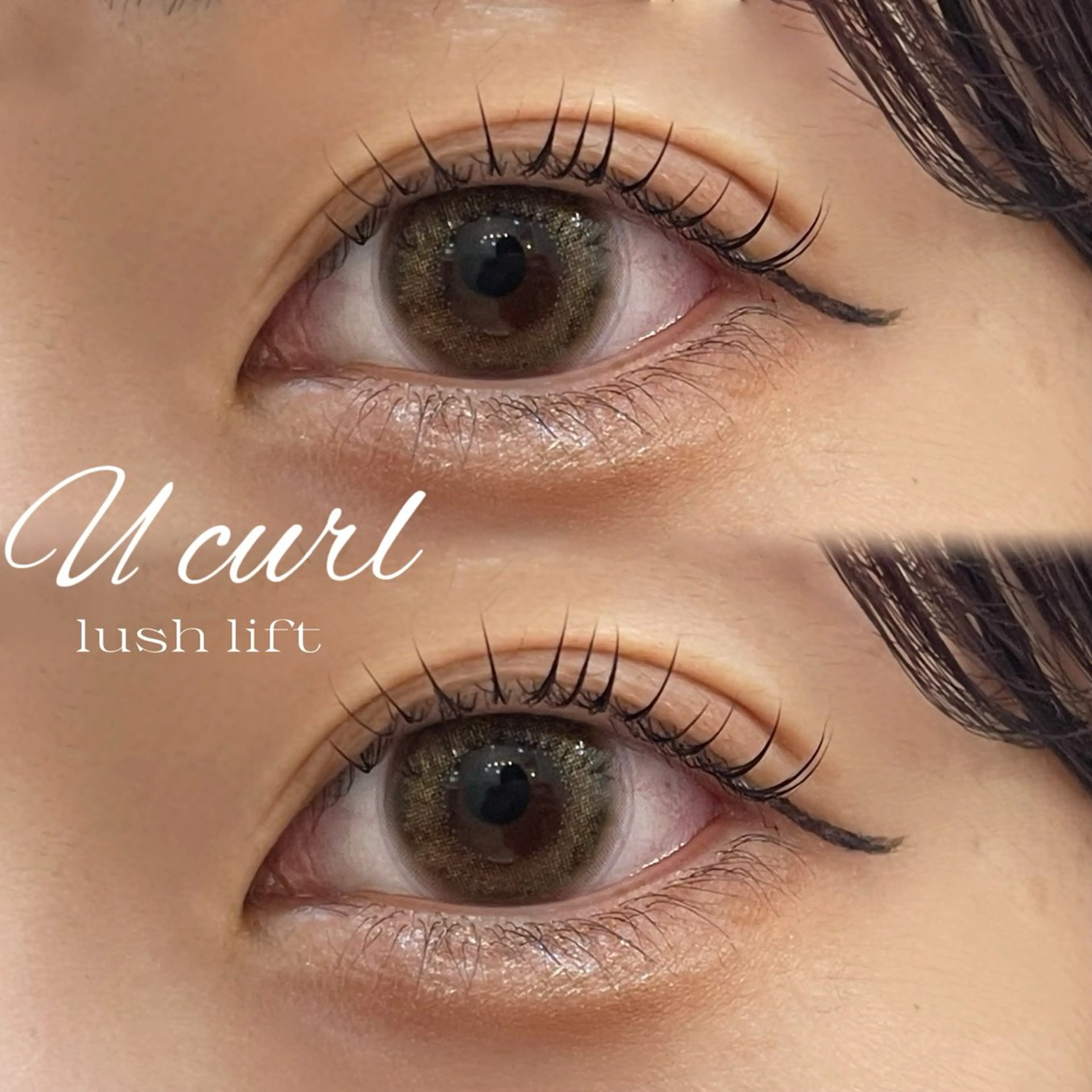 ご新規様限定クーポン‼️まつげパーマorパリジェンヌ➕仕上げコーティング🫧の写真