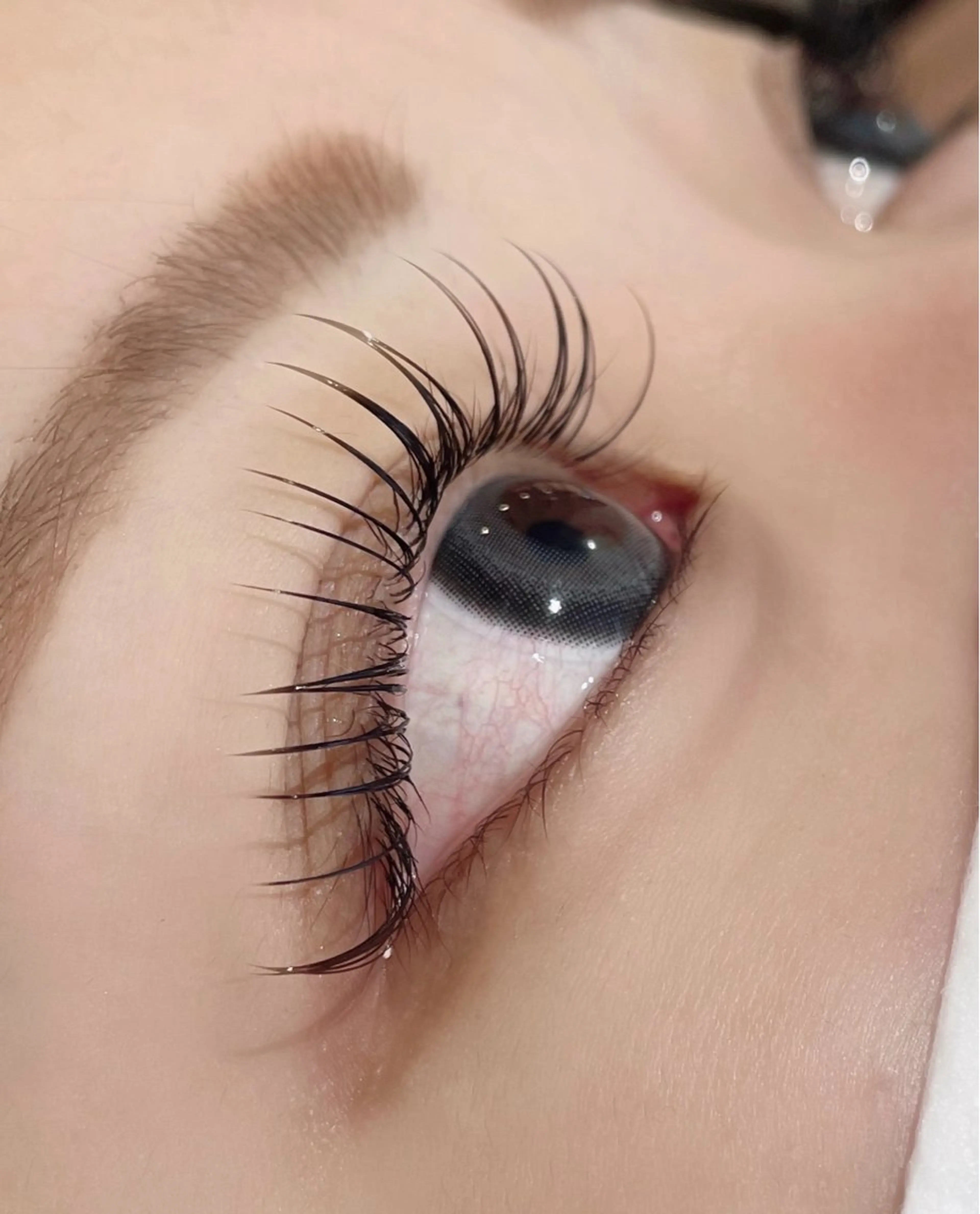 限定！フラットラッシュ(＋500)orセーブル100本迄【補足説明要確認】の写真