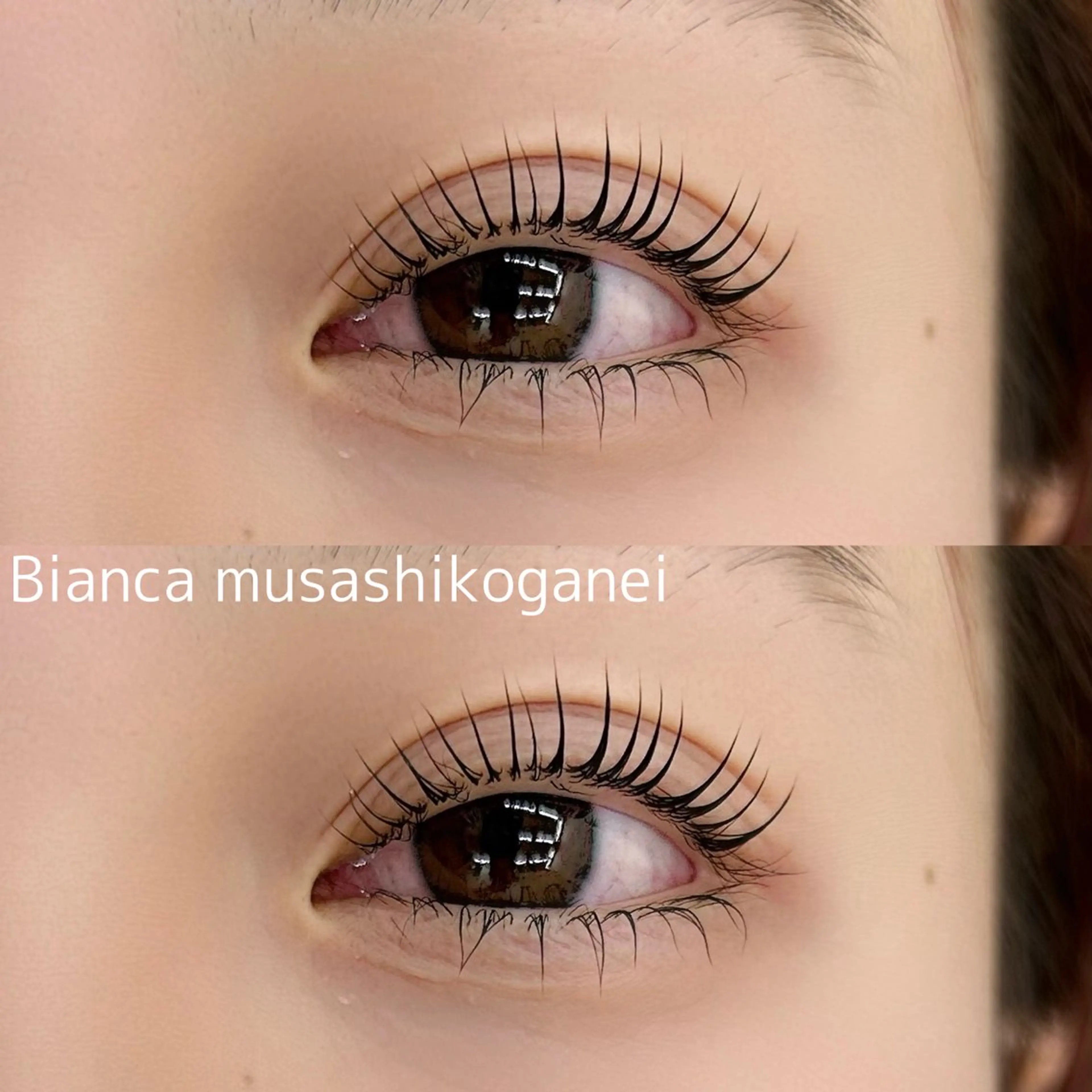 【🪩平日限定】🦕まつ毛カール上下🦕マツパ【武蔵小金井】🕐60分~の写真