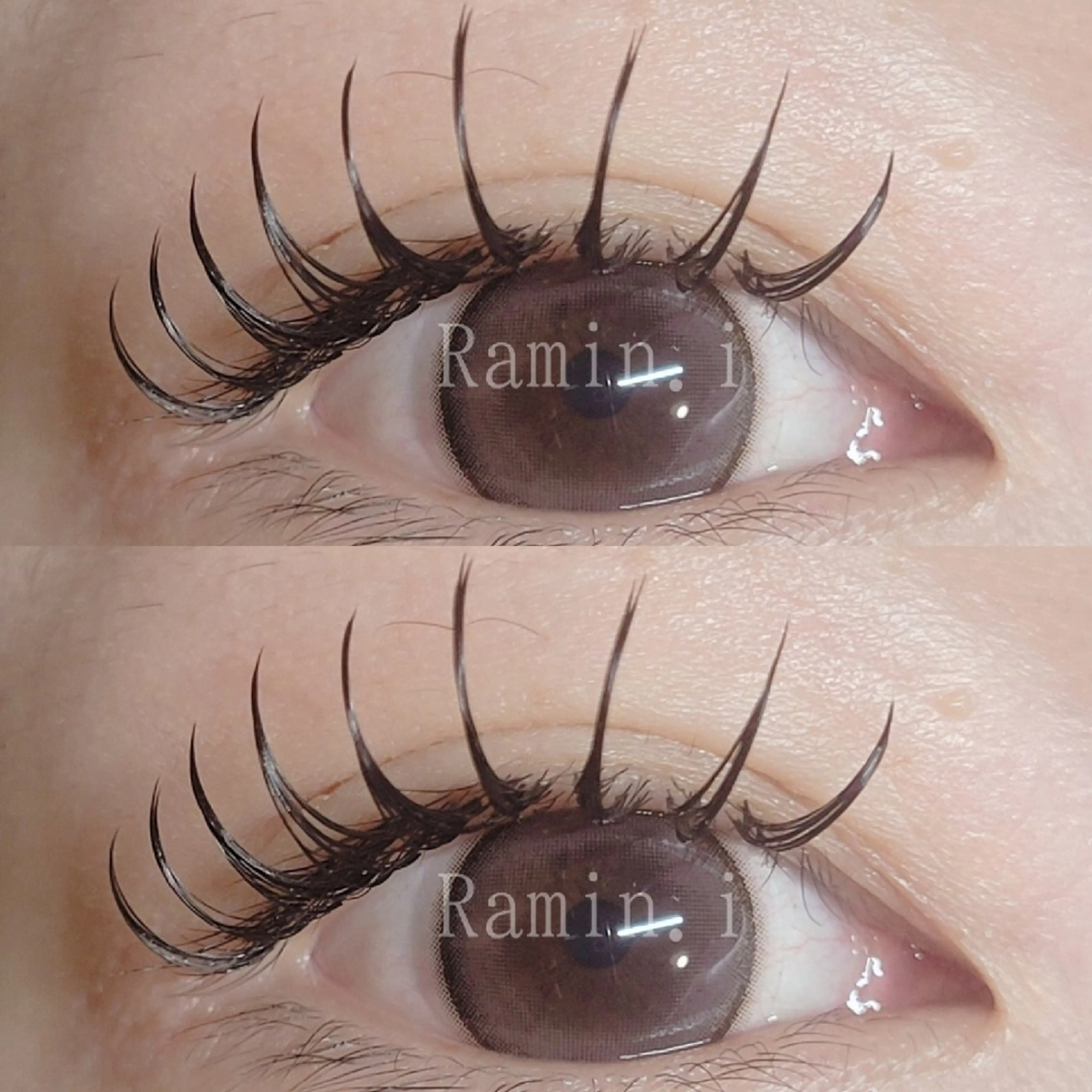 バインドロック 80束の写真