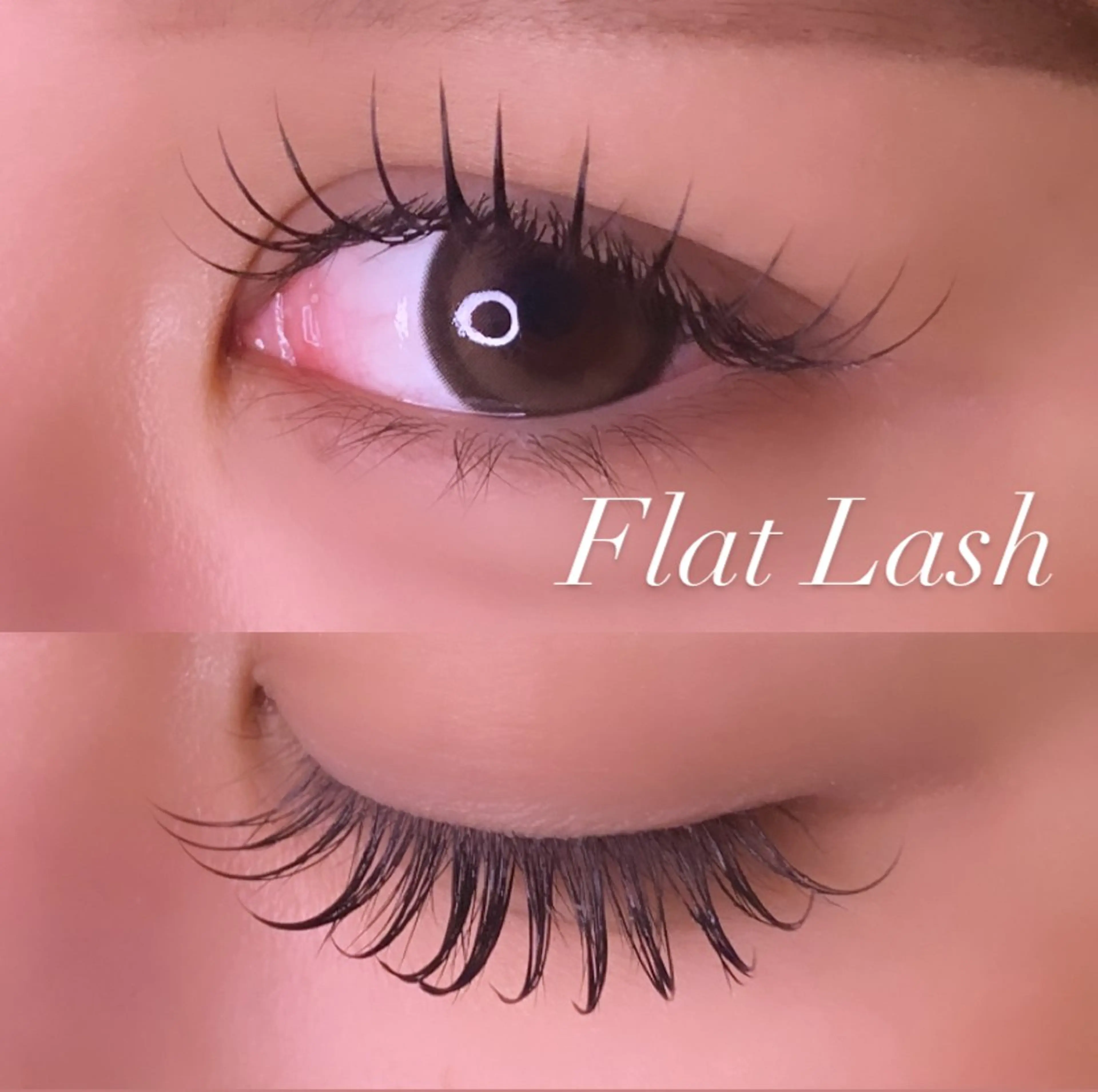 マツエク・マツパ Cカール フラットラッシュ マツエク Ayumi.pro 🍆N《4階》のマツエク・マツパデザイン