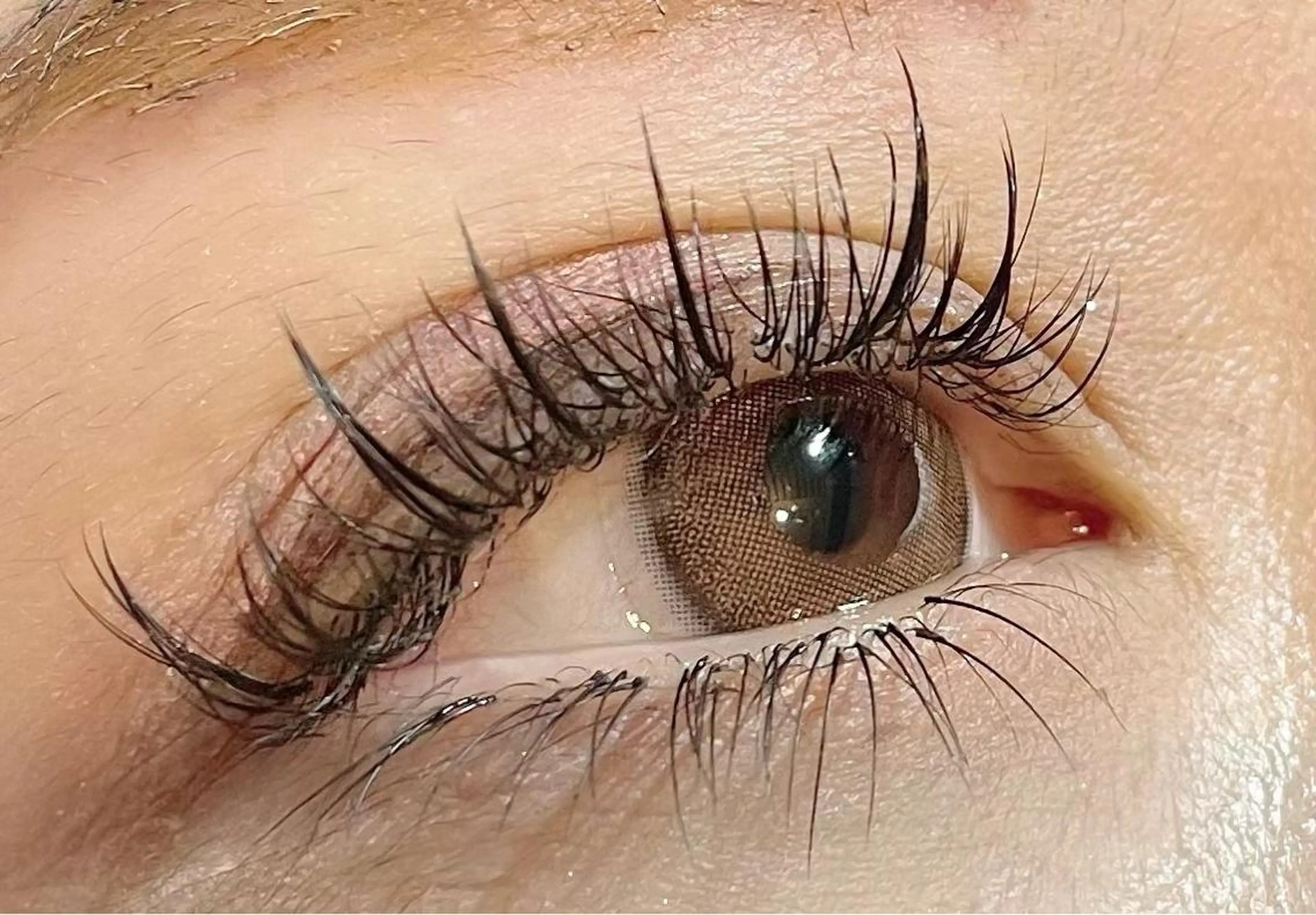 マツエク・マツパ 下まつげエクステ ワンホンマツエク マツエク HARIS店長🦋 Ishiguroのマツエク・マツパデザイン