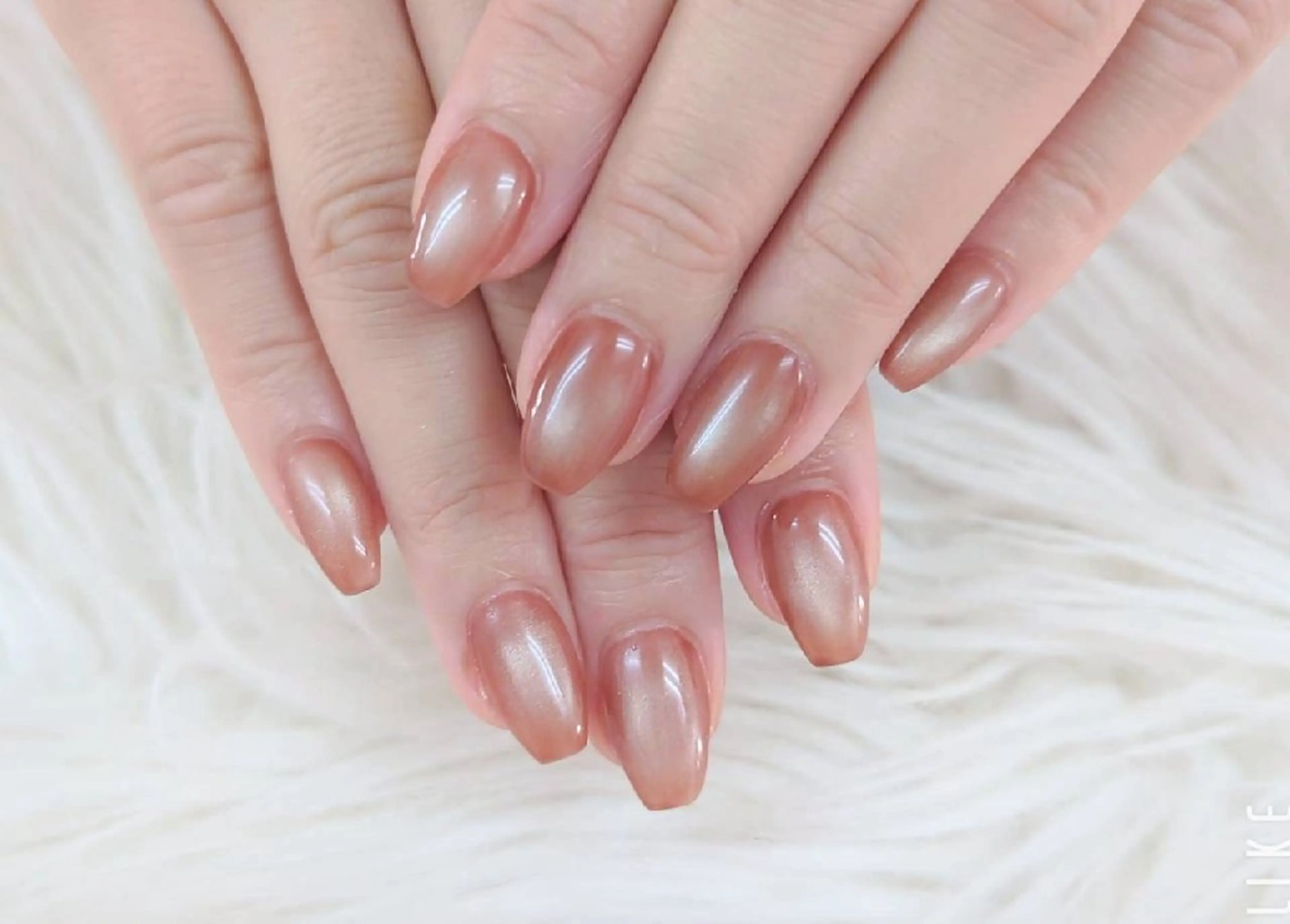 【2月平日限定!】ご新規様 オフ込み マグネットのワンカラーも! ¥3300!!の写真