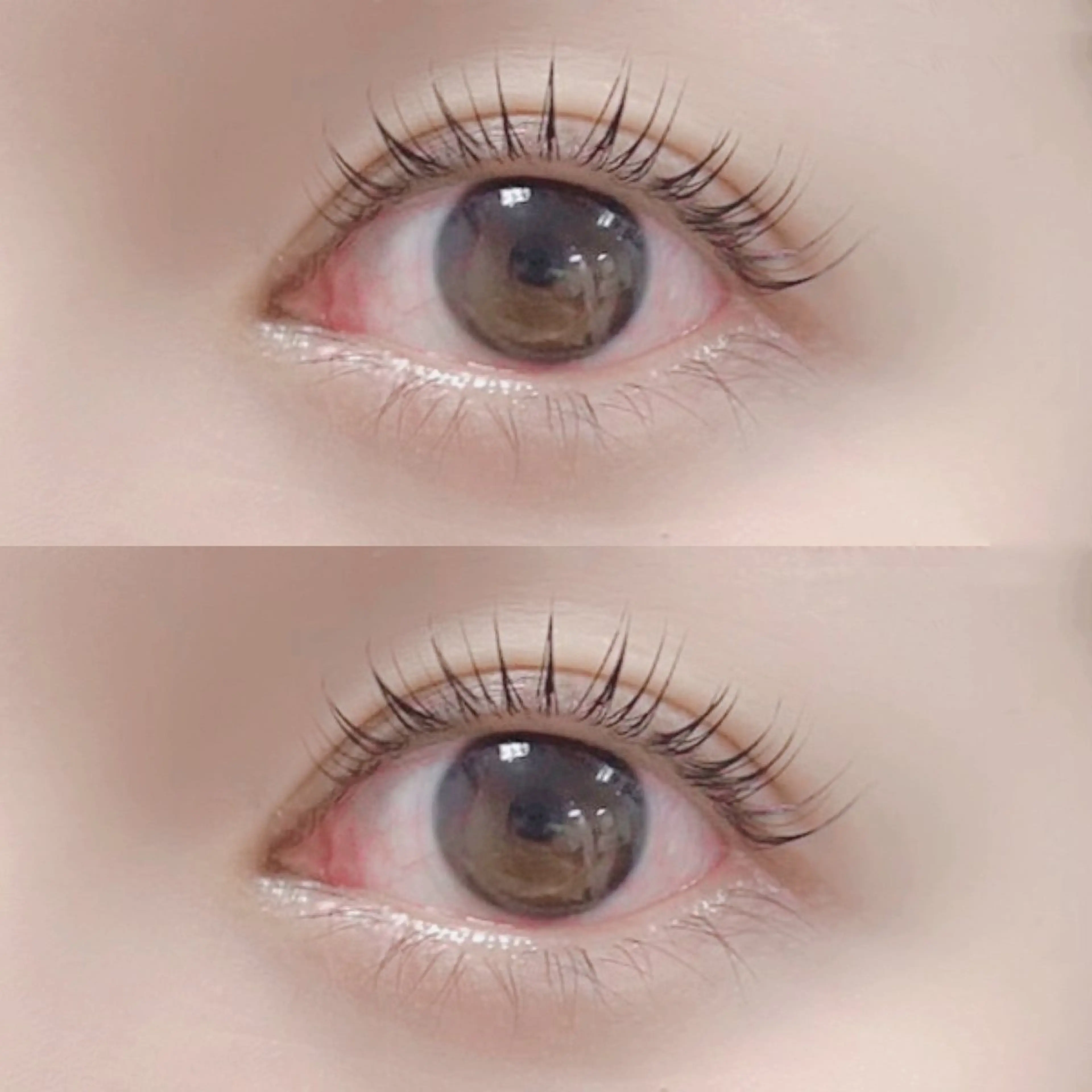 マツエク・マツパ ナチュラル パリジェンヌラッシュリフト FASTLASH🌹 パリジェンヌのマツエク・マツパデザイン