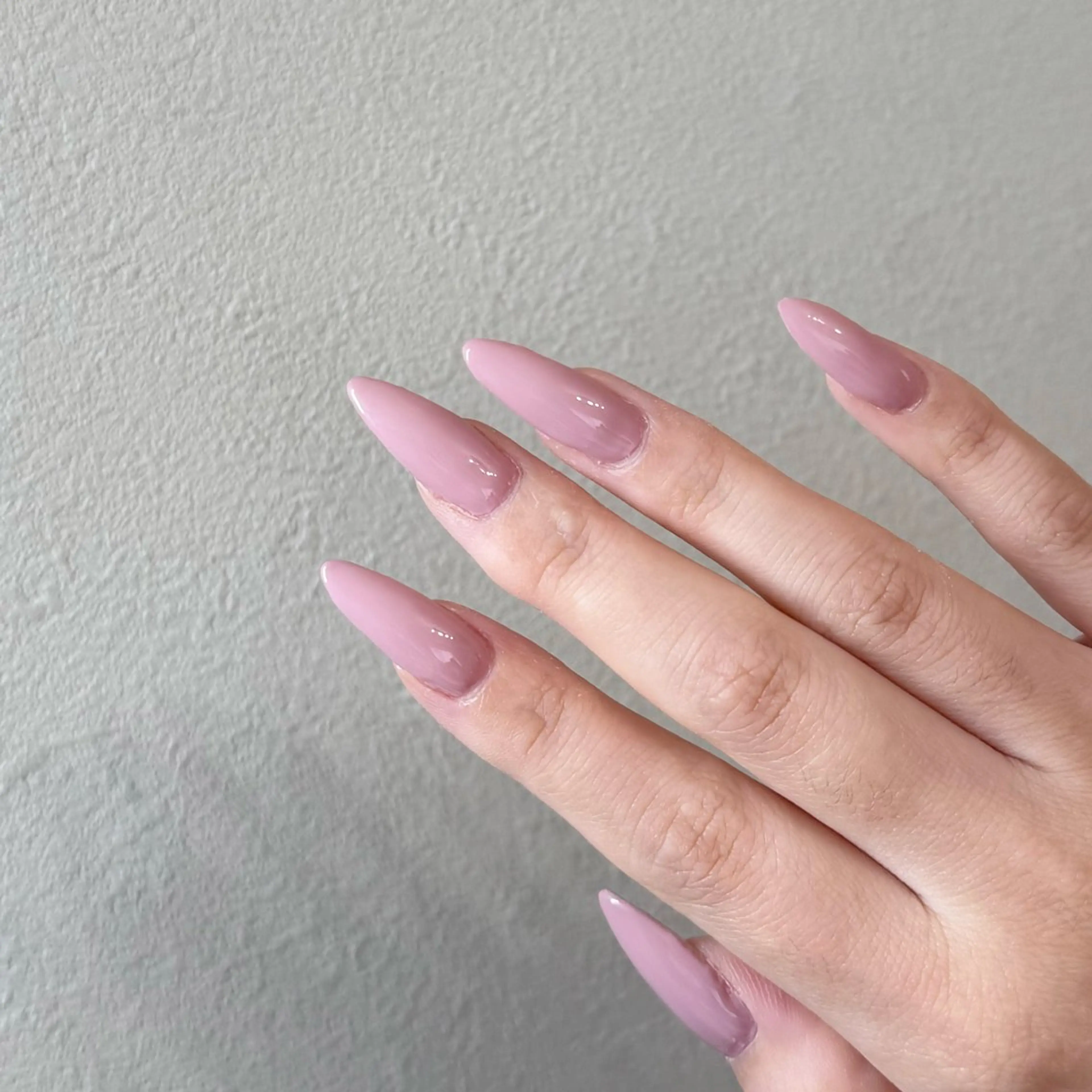 ワンカラー 《オフなし》10時〜限定⭐️の写真