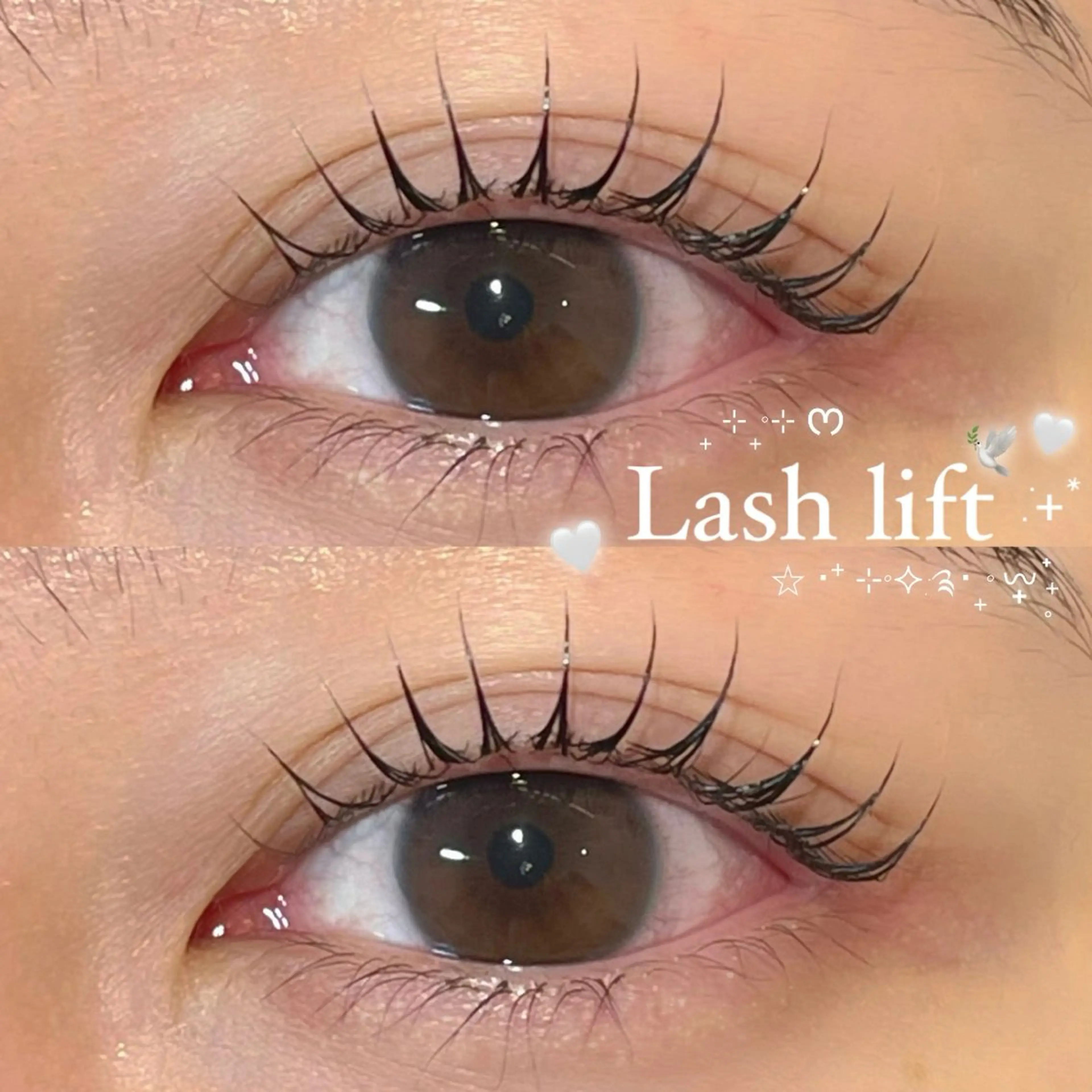 𓊆 treatment・アイシャンプーset🧴𓊇 ラッシュリフト୨୧ 🪄の写真