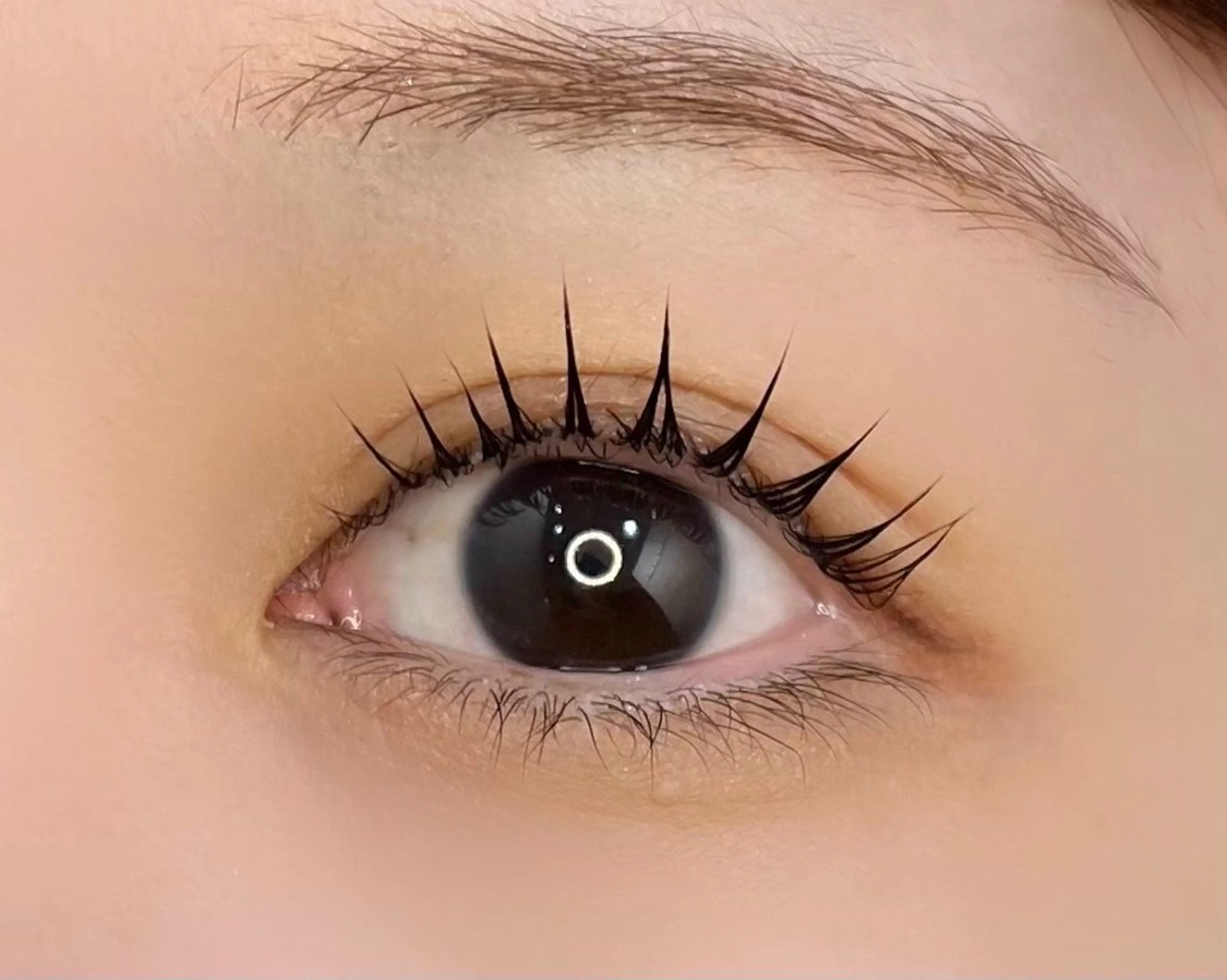 【minimo限定価格】マスカラパーマ🧡アイシャンプー付きの写真