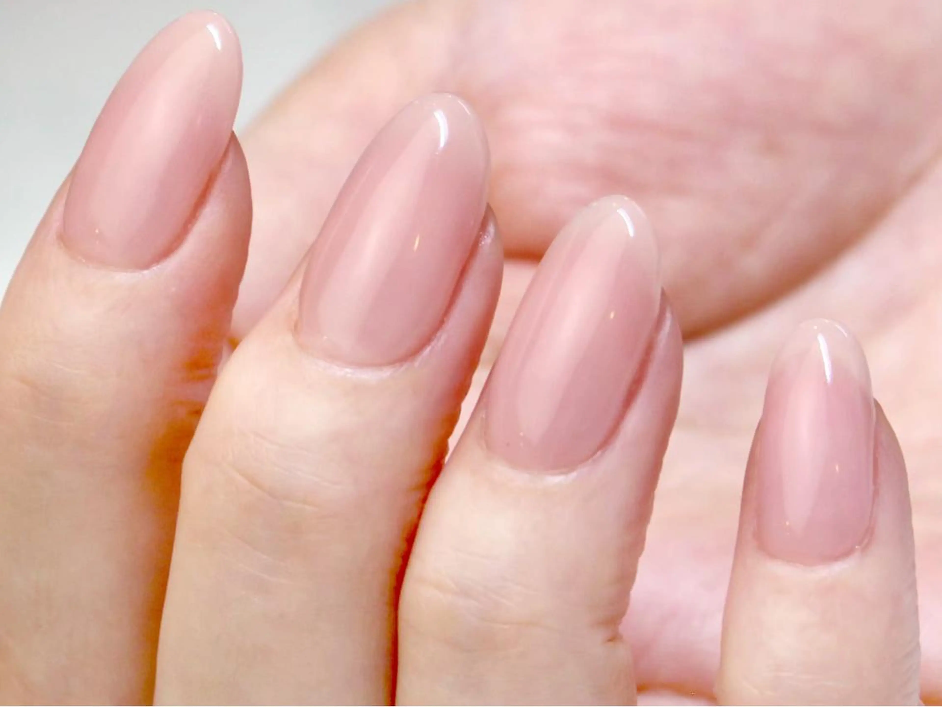 ジェルワンカラーのモニターの写真