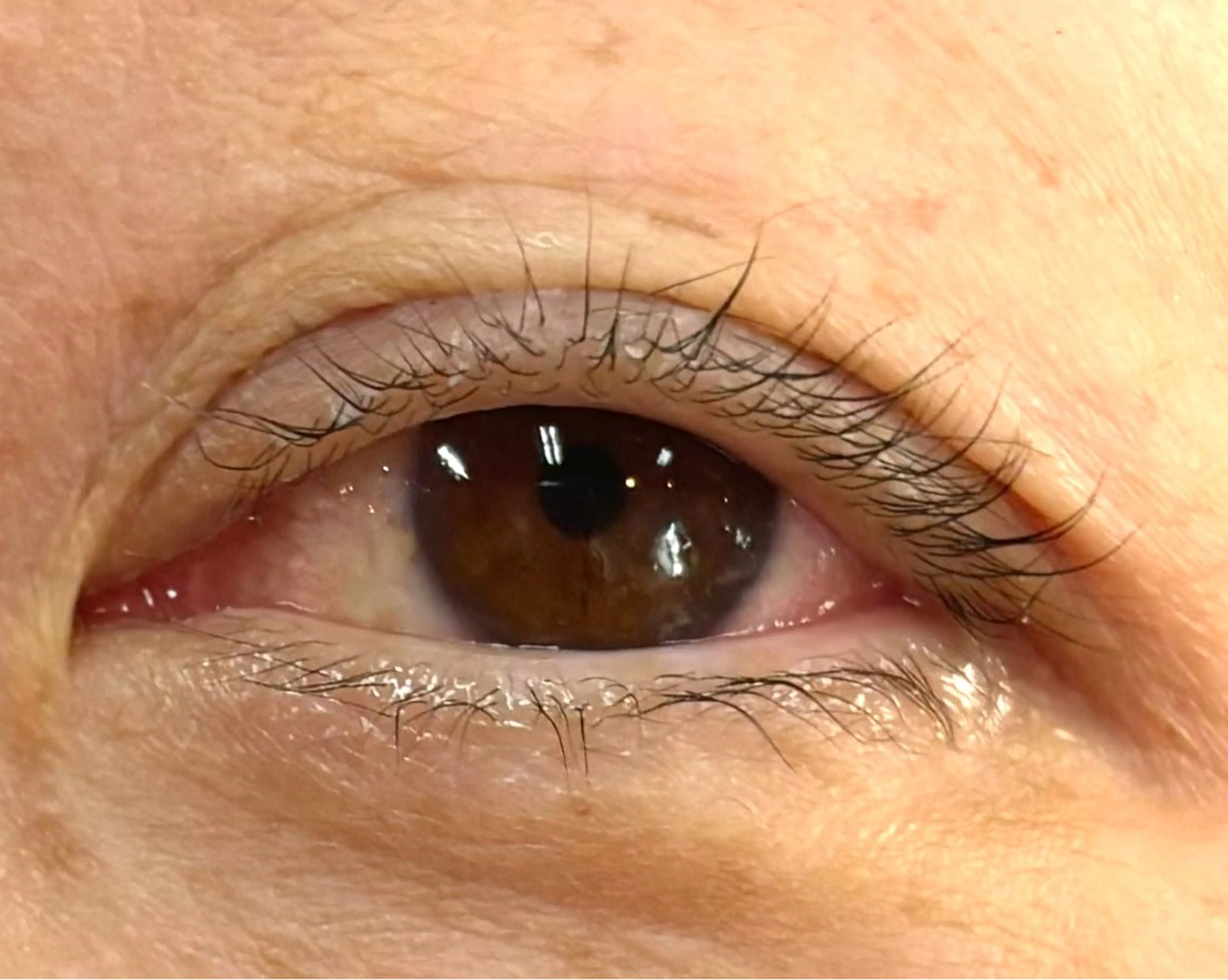 マツエク・マツパ Salon Clore.所属・Salon Clore.あやのマツエク・マツパデザイン