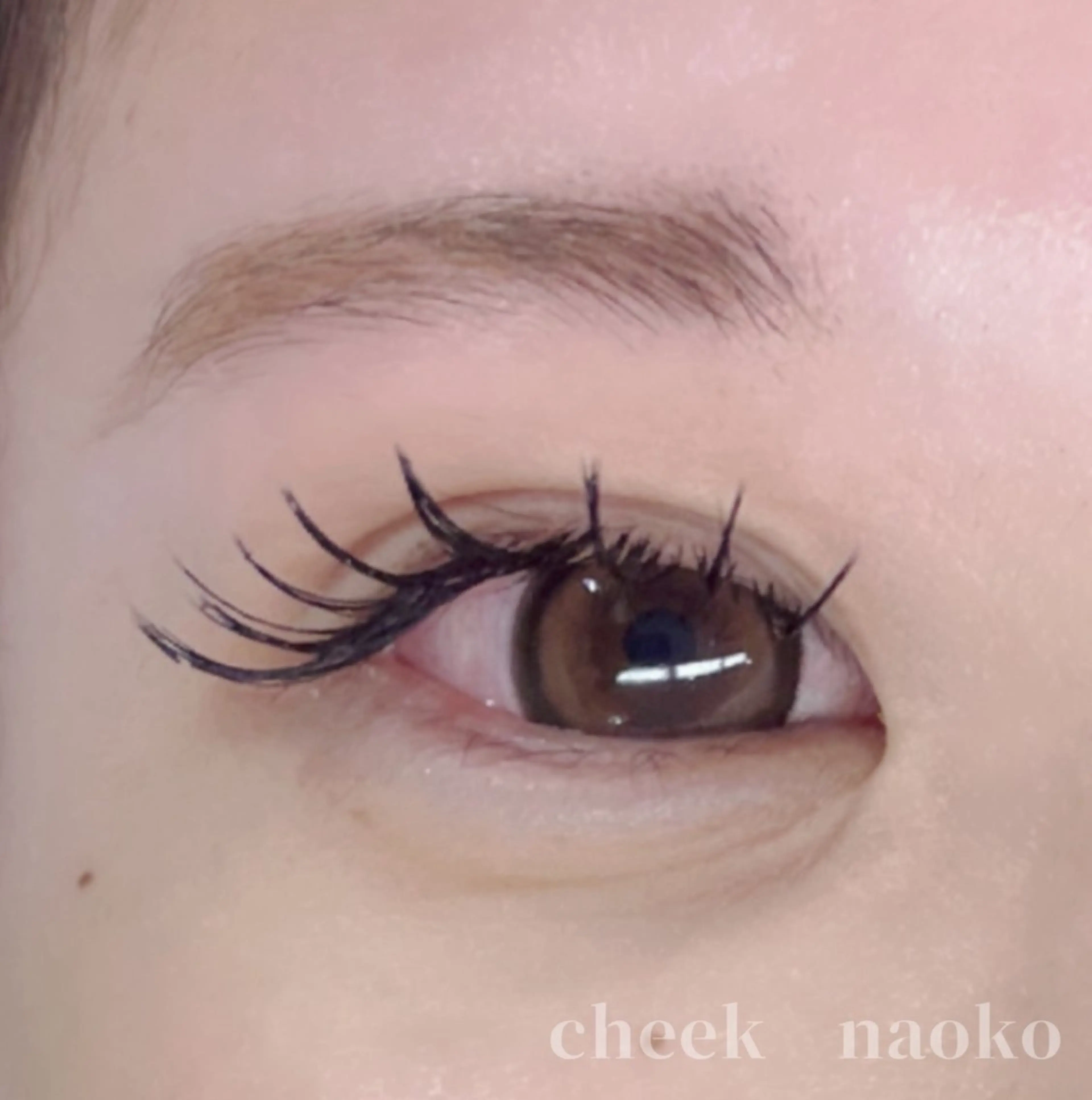 マツエク・マツパ Cカール ナチュラル cheek 新宿西口所属・cheek 新宿西口店のその他イメージ