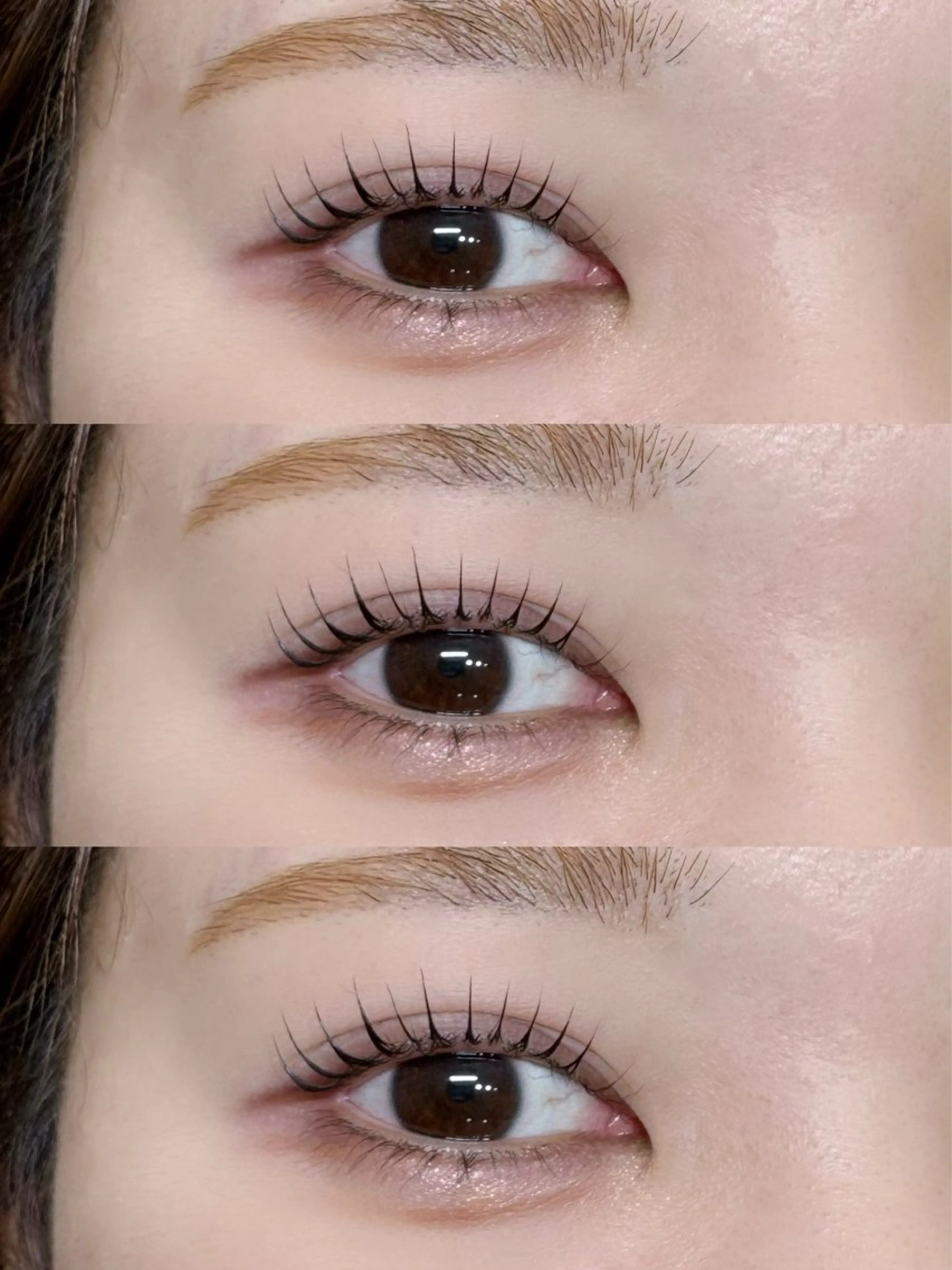 パリジェンヌ🪽‪の写真