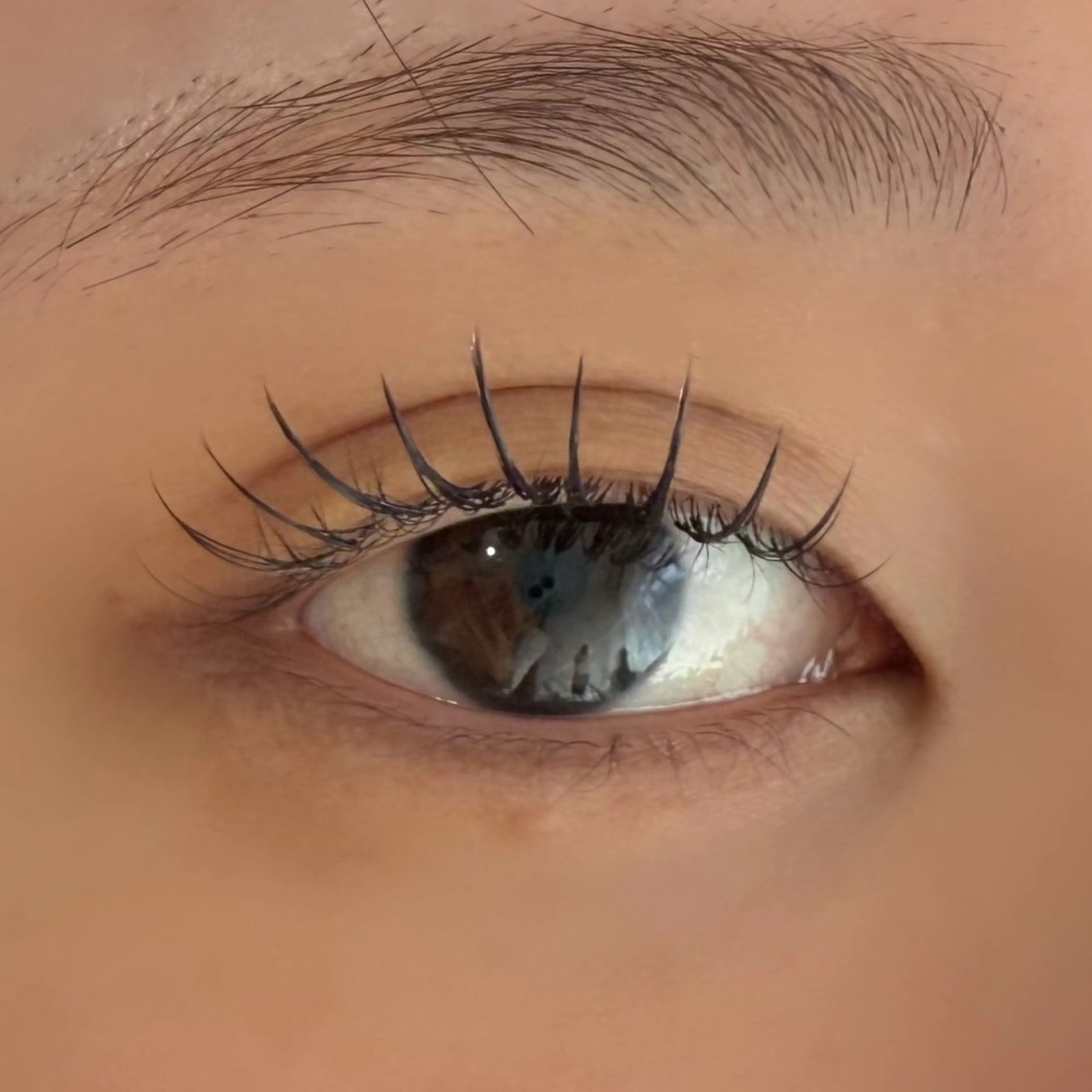 マツエク・マツパ Cカール フラットラッシュ chaleureux 【シャルルー】のマツエク・マツパデザイン