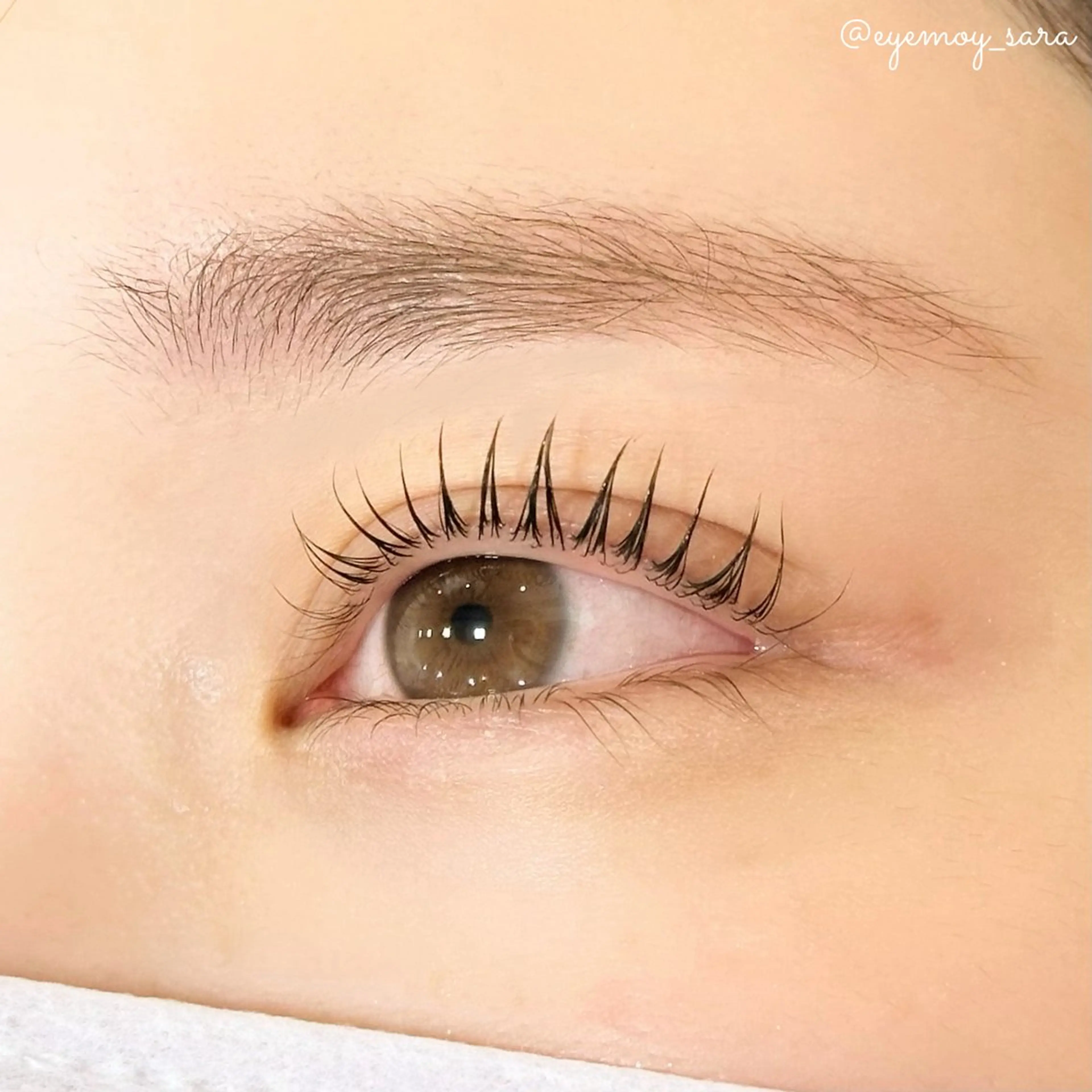 マツエク・マツパ ケラチンラッシュリフト 束感まつ毛 パリジェンヌラッシュリフト まつげパーマ 一重×まつ毛パーマ sara 🌙のマツエク・マツパデザイン