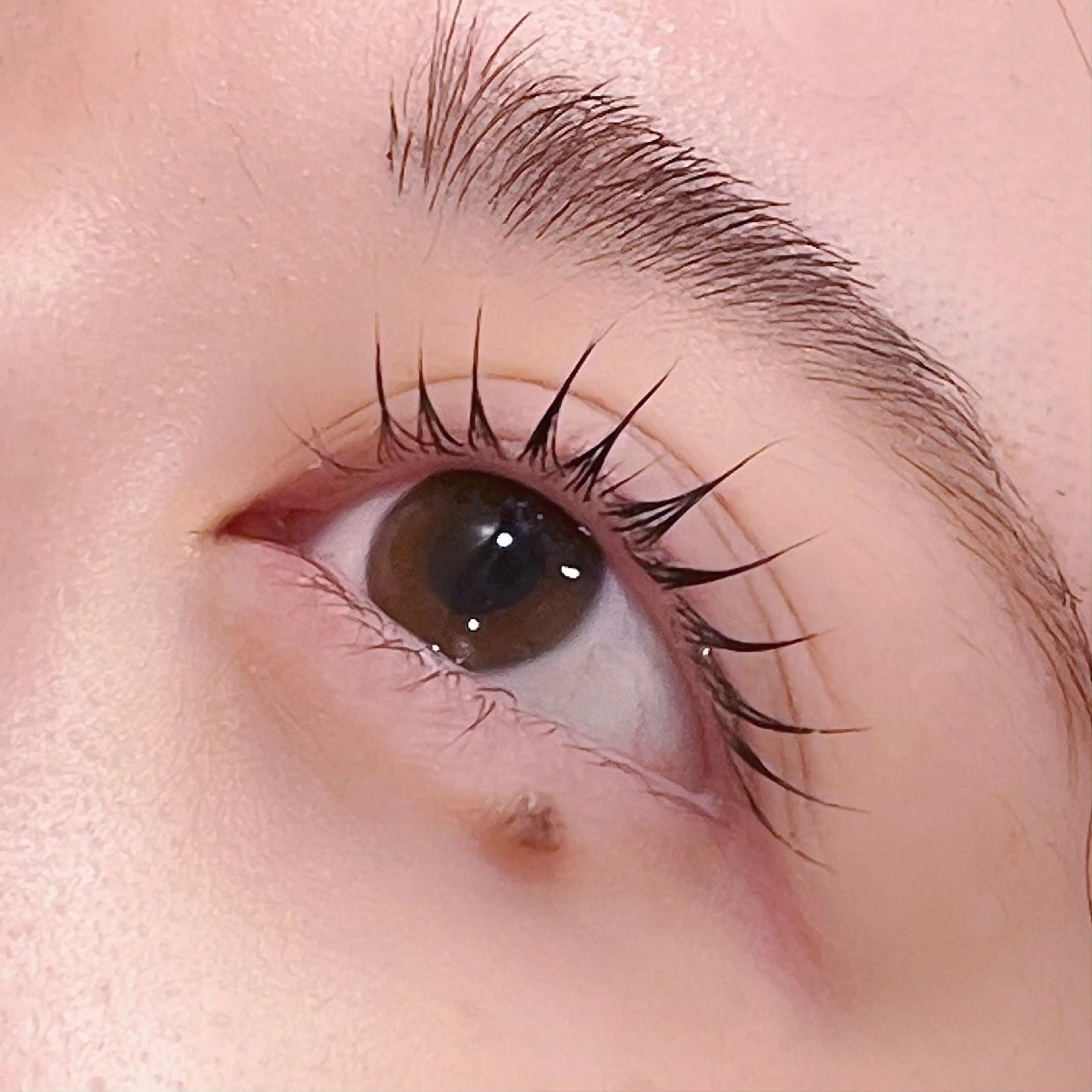 マツエク・マツパ pono大宮東口店 店長🩰AOHA🩰のマツエク・マツパデザイン