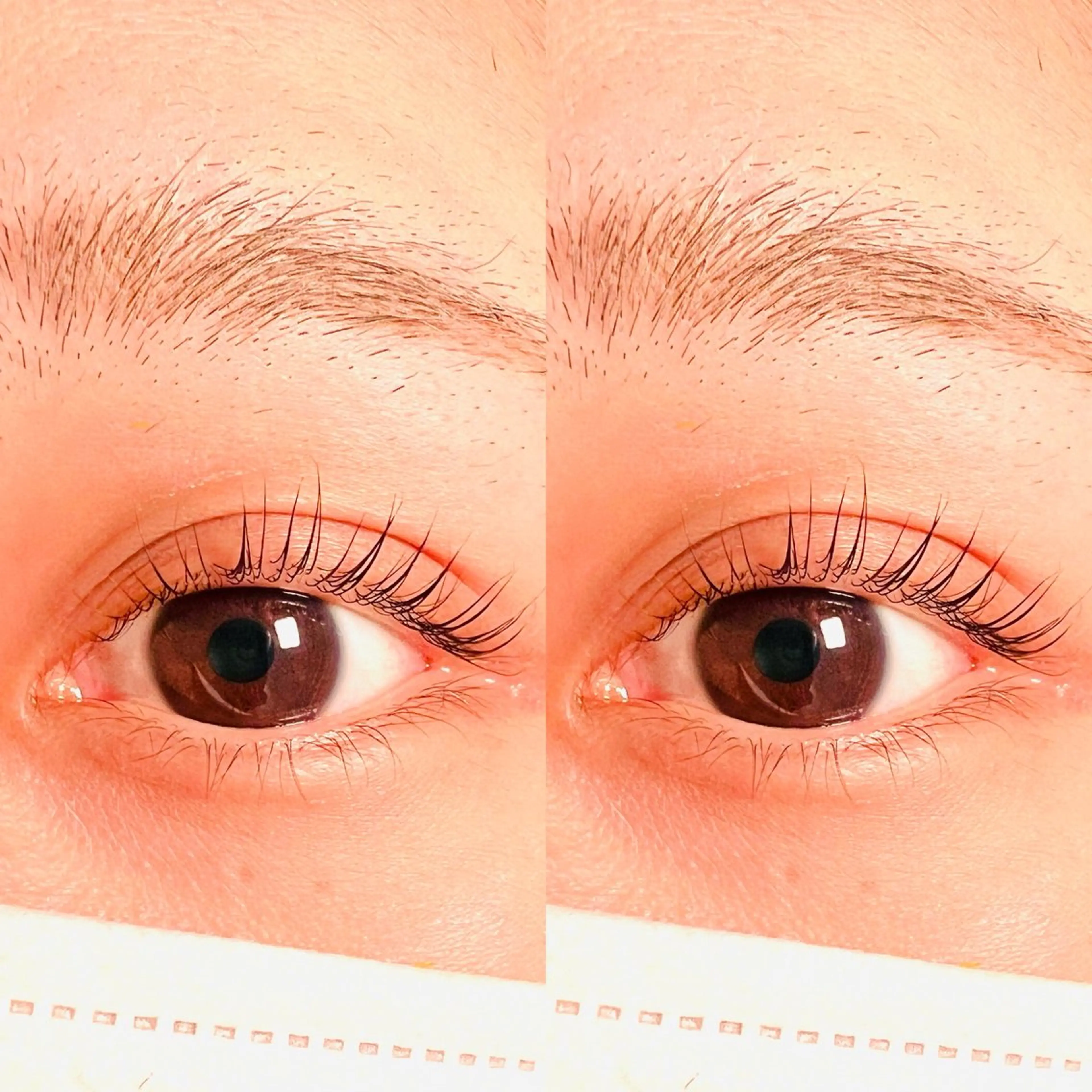 〈まつげパーマ〉再来の方はこちら❤️平日限定❤️の写真