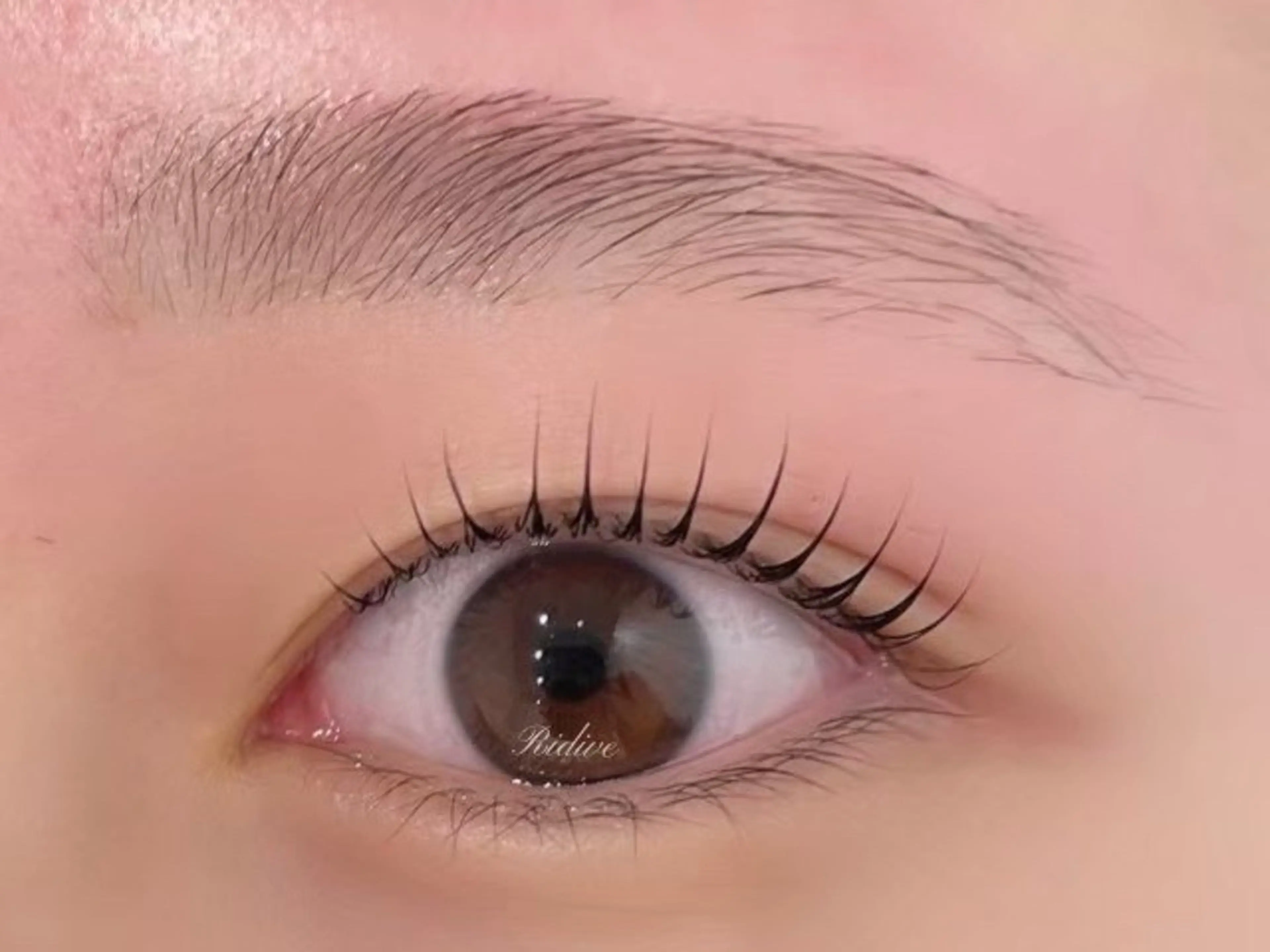 マツエク・マツパ アイブロウサロンRidive調布所属・Ridive 調布店 / Ayanaの眉毛・アイブロウイメージ
