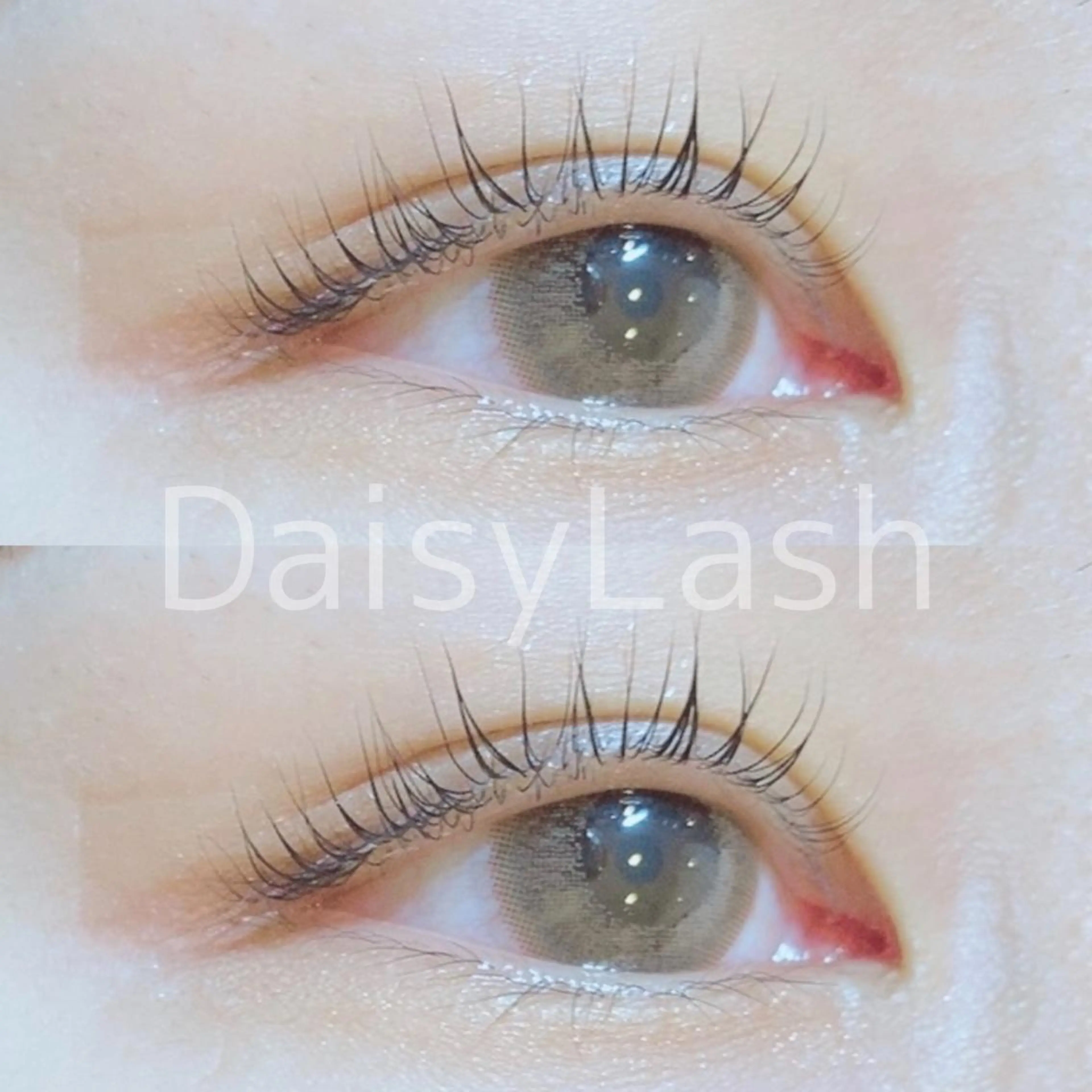 マツエク・マツパ DaisyLash 京橋店のマツエク・マツパデザイン