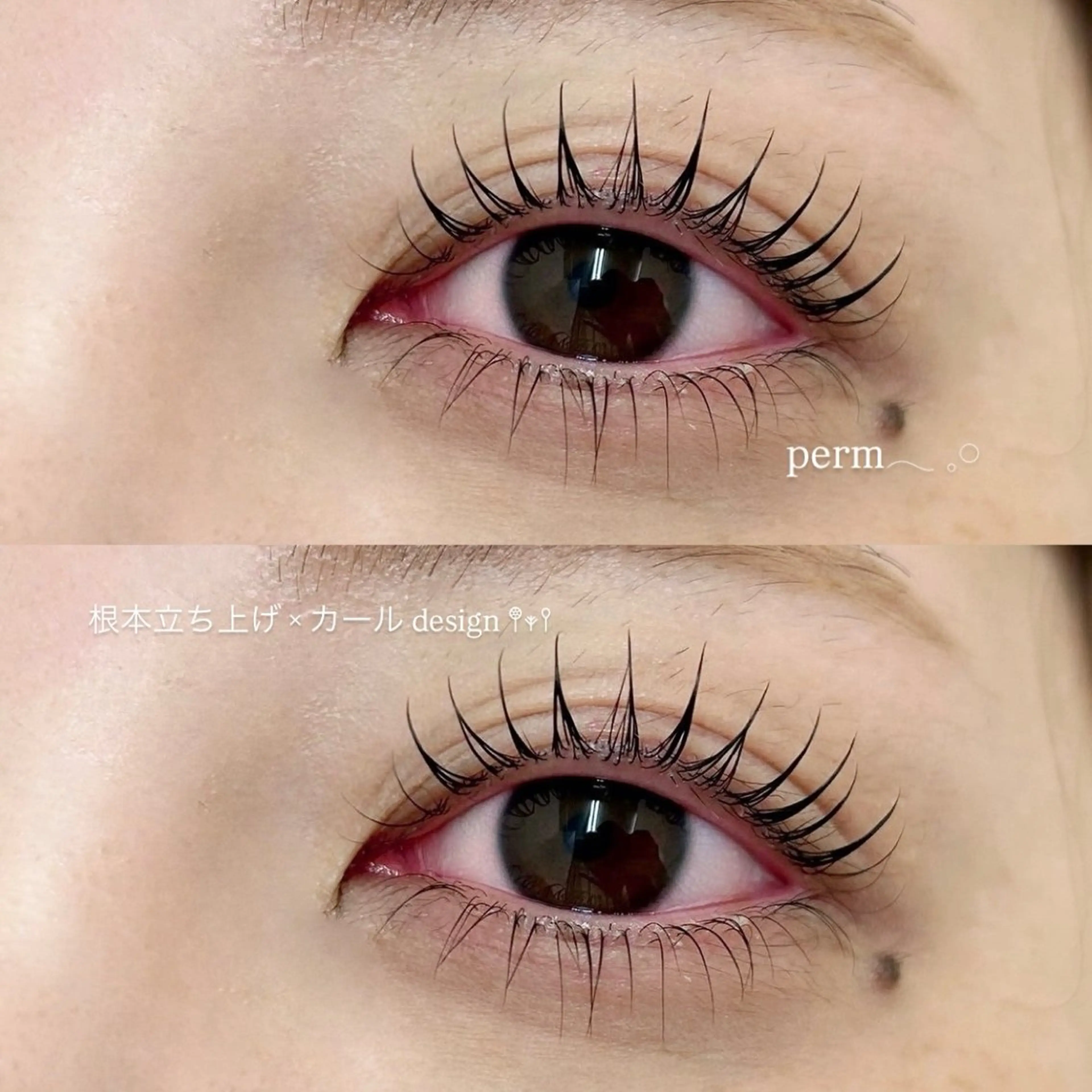 マツエク・マツパ 天王寺eyelash ﾌｳｶのマツエク・マツパデザイン