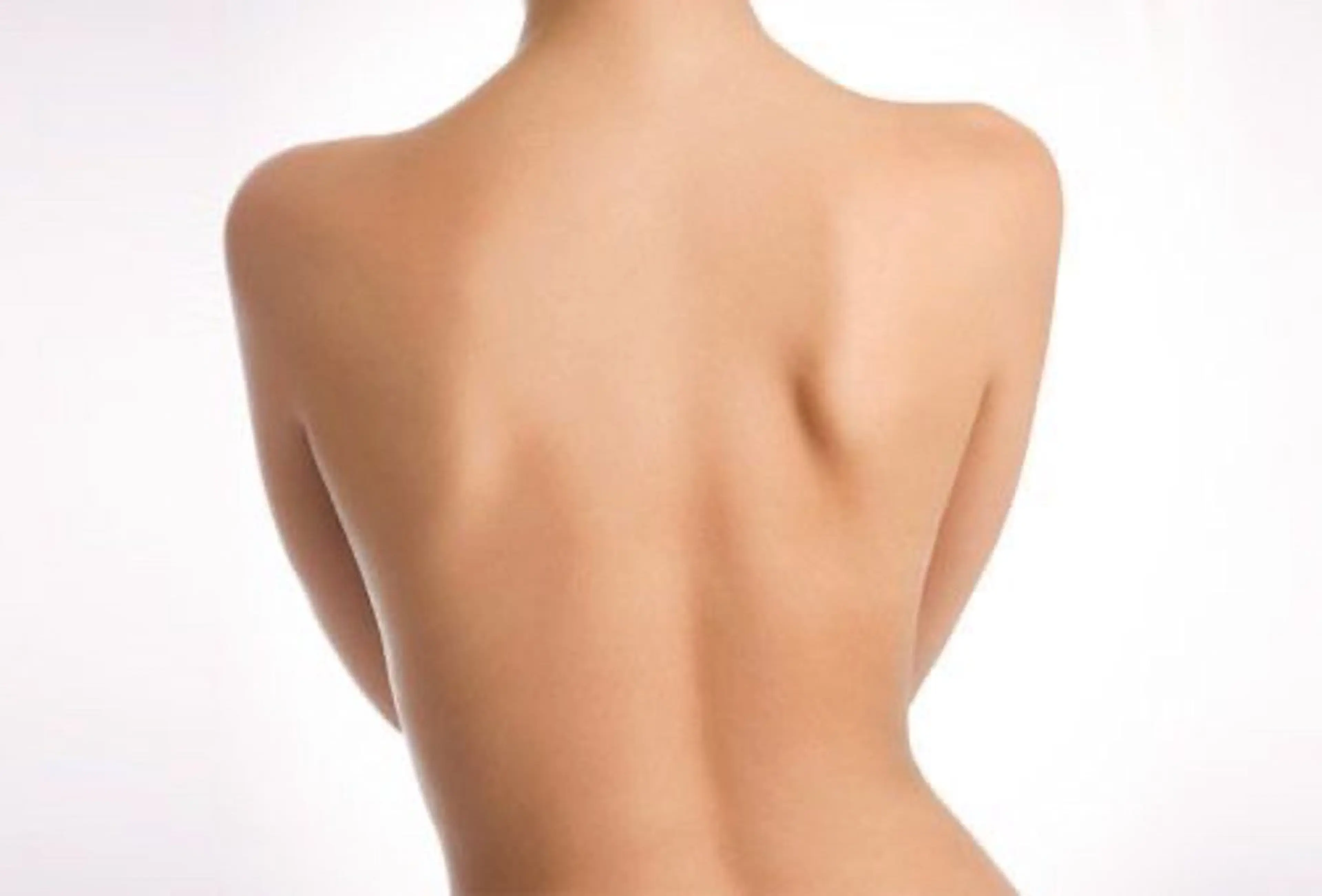 【レディース】えりあし・背中上・背中下（腰まで）の写真