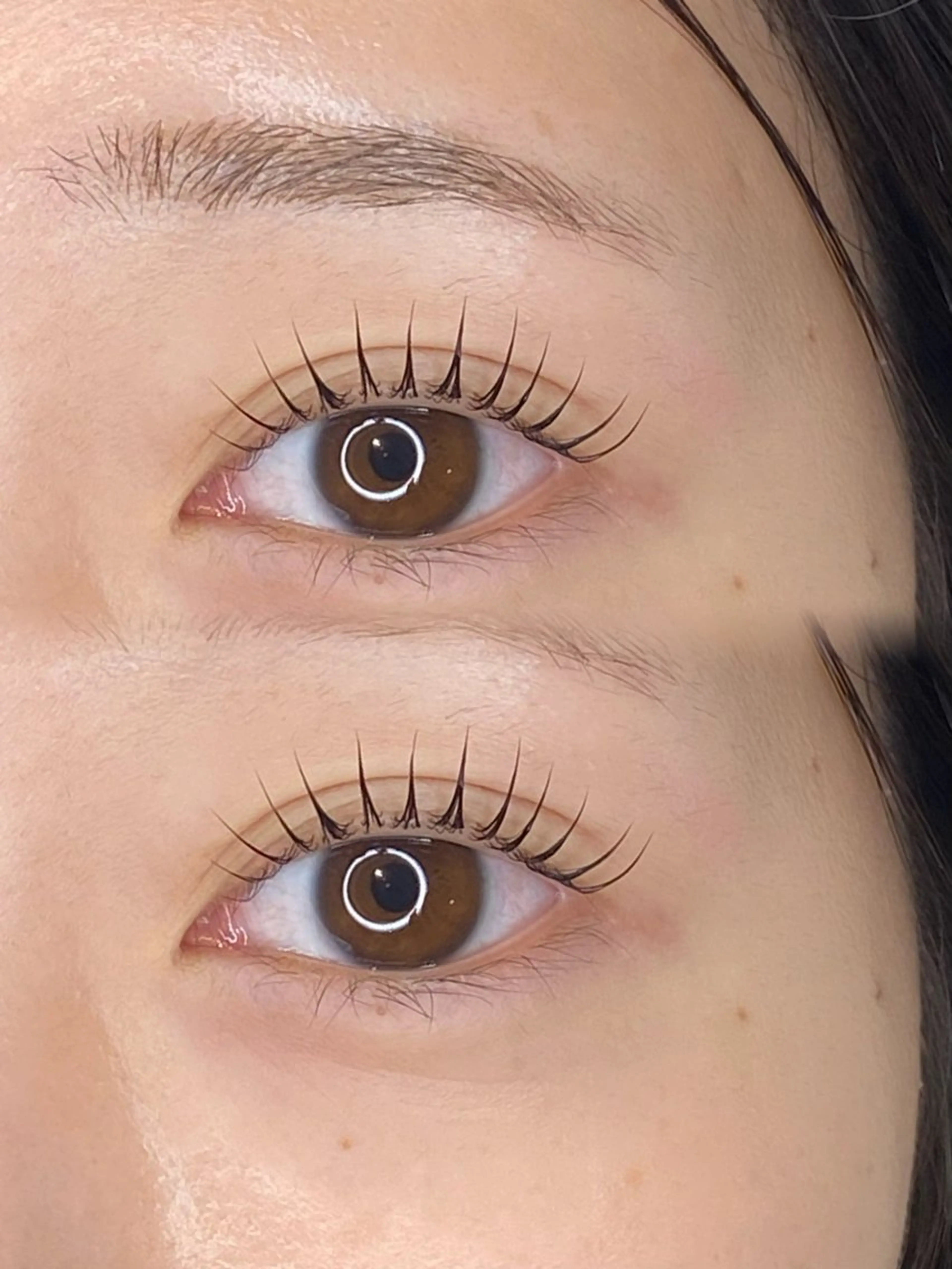 当日予約限定🎀パリジェンヌorまつ毛パーマ🎀の写真