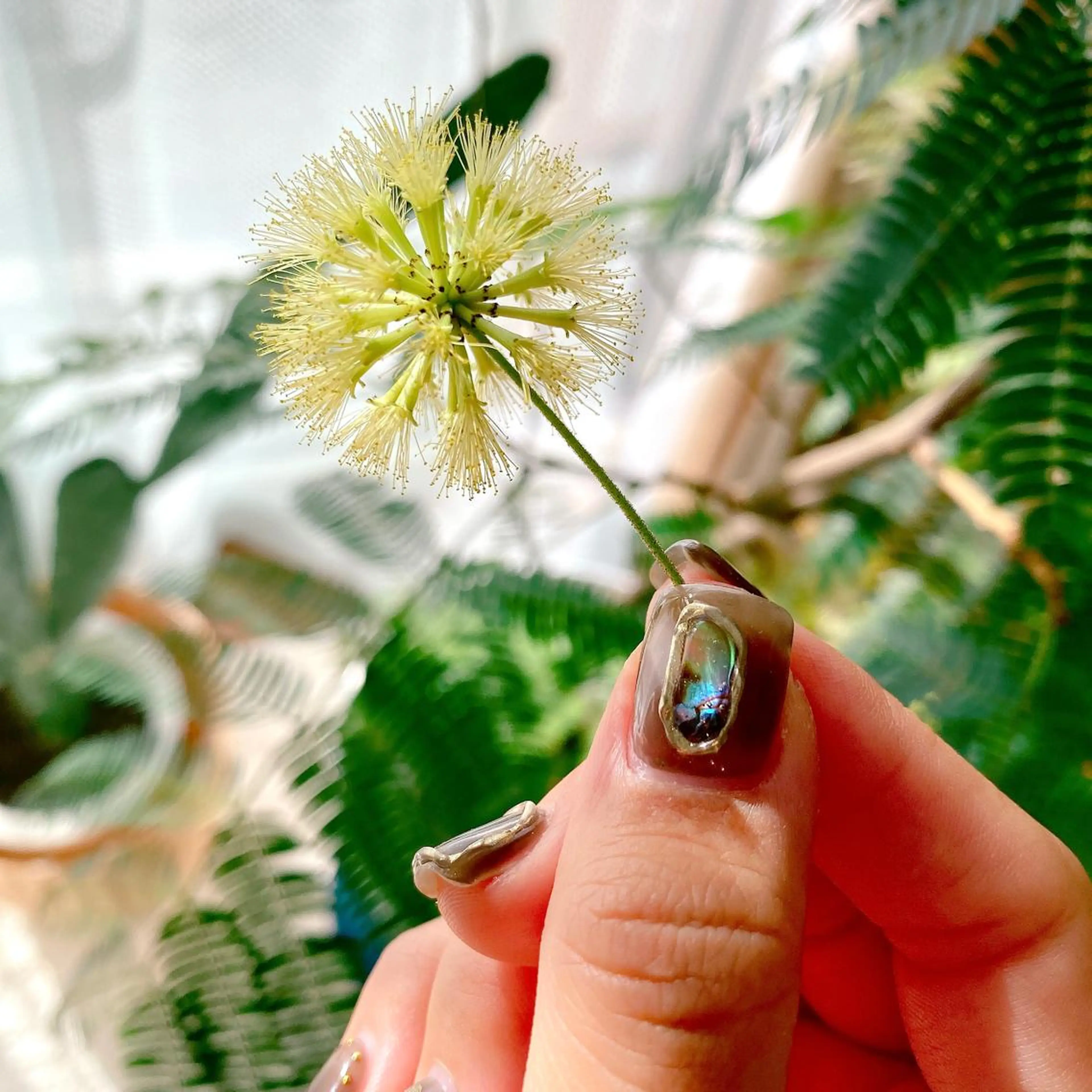 ネイル Nail Room Bellisのネイルデザイン