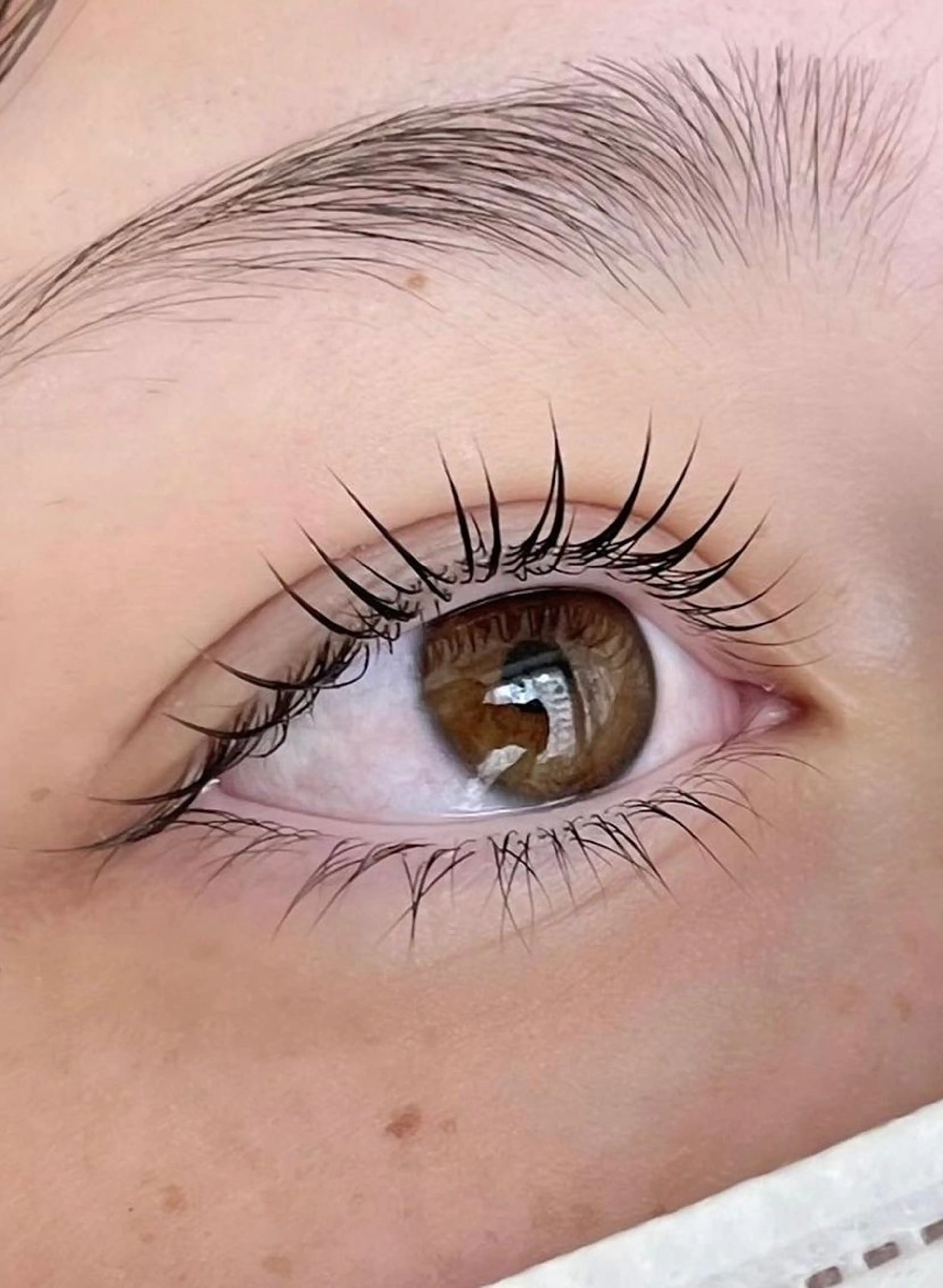 マツエク・マツパ マツパ Embellir/ "Aine"🕊の眉毛・アイブロウイメージ