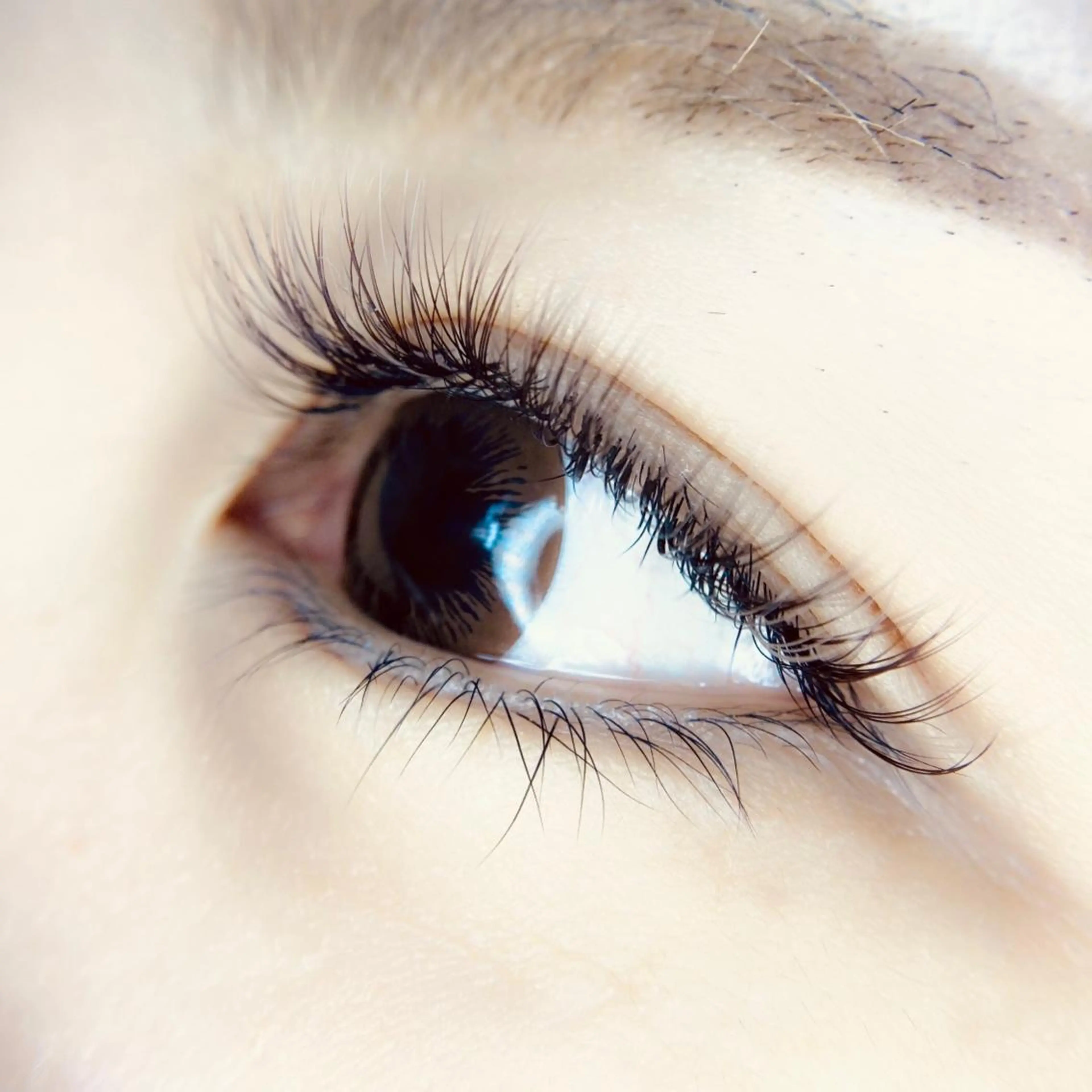 マツエク・マツパ ｉｃｈｉ ...のマツエク・マツパデザイン