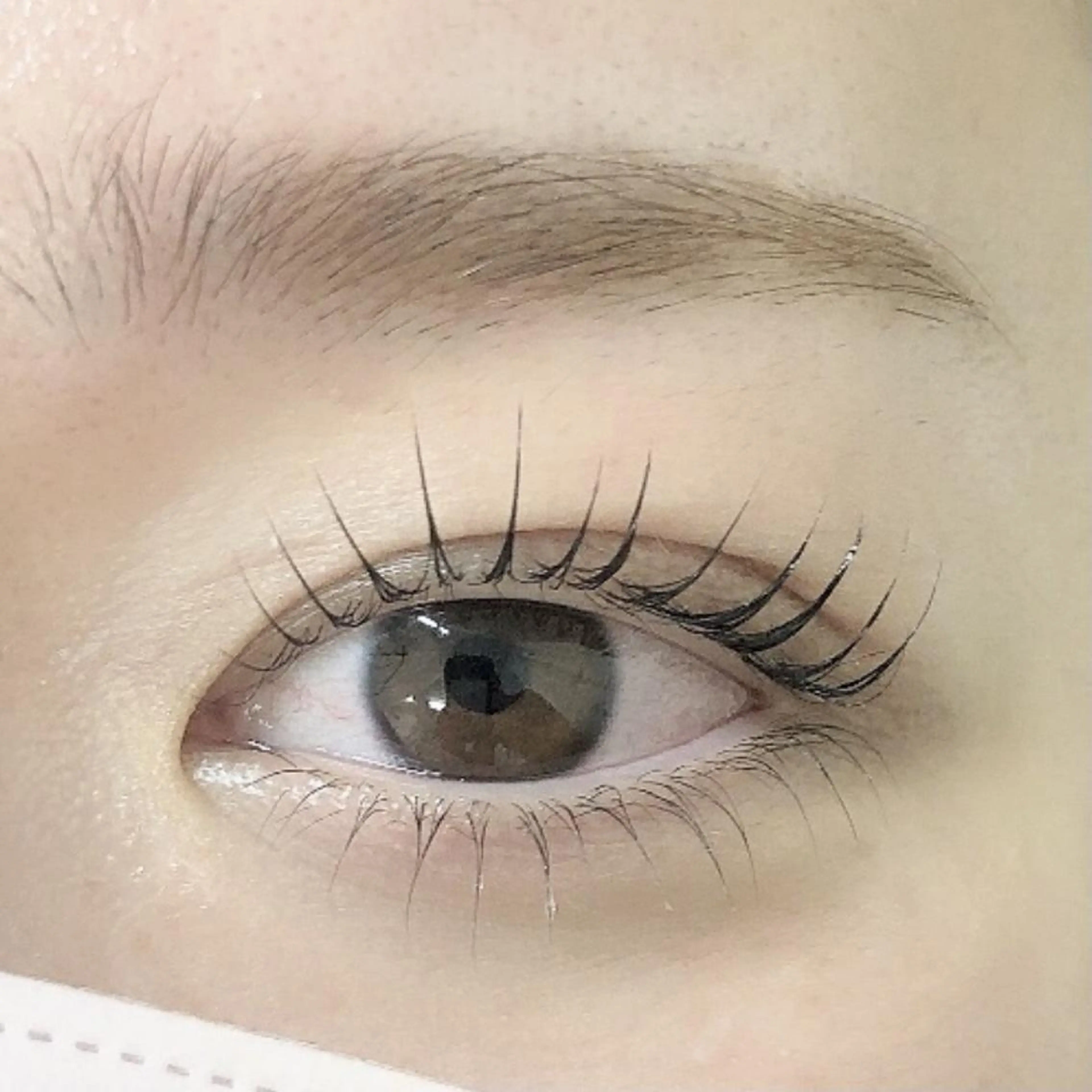 ラッシュリフト上下＋アイブロウワックス脱毛　10980円の写真