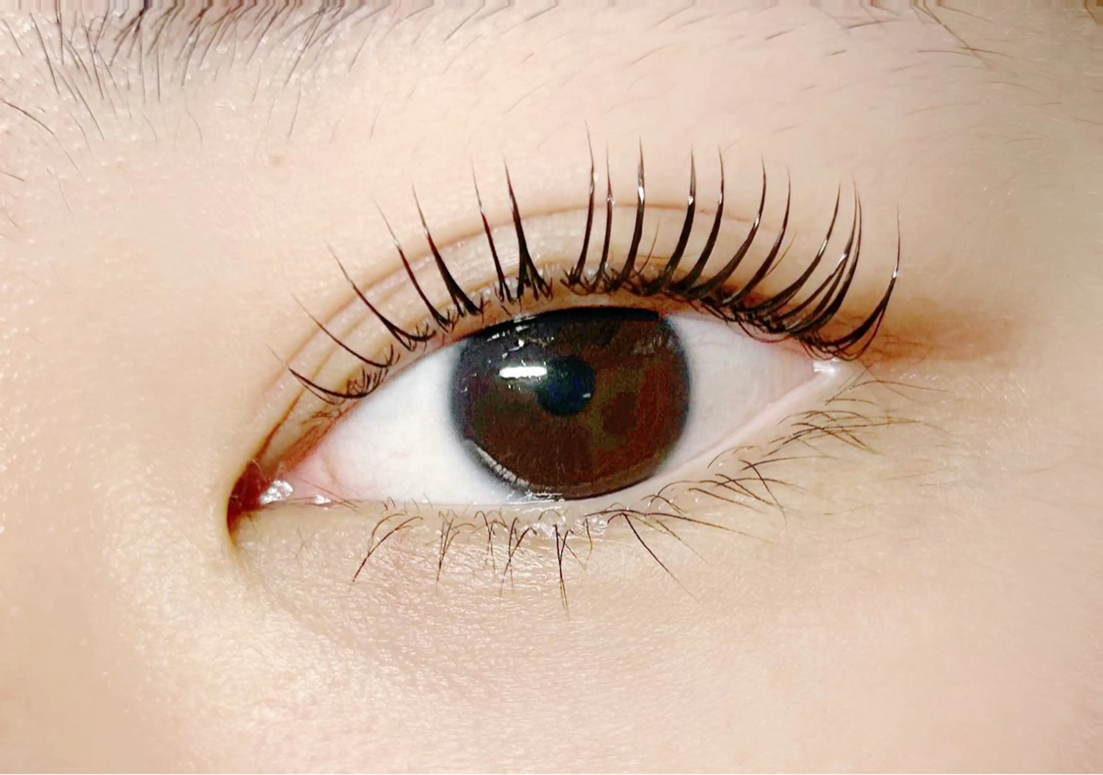 韓国🇰🇷発‼︎マスカラパーマで目力アップ✨✨の写真